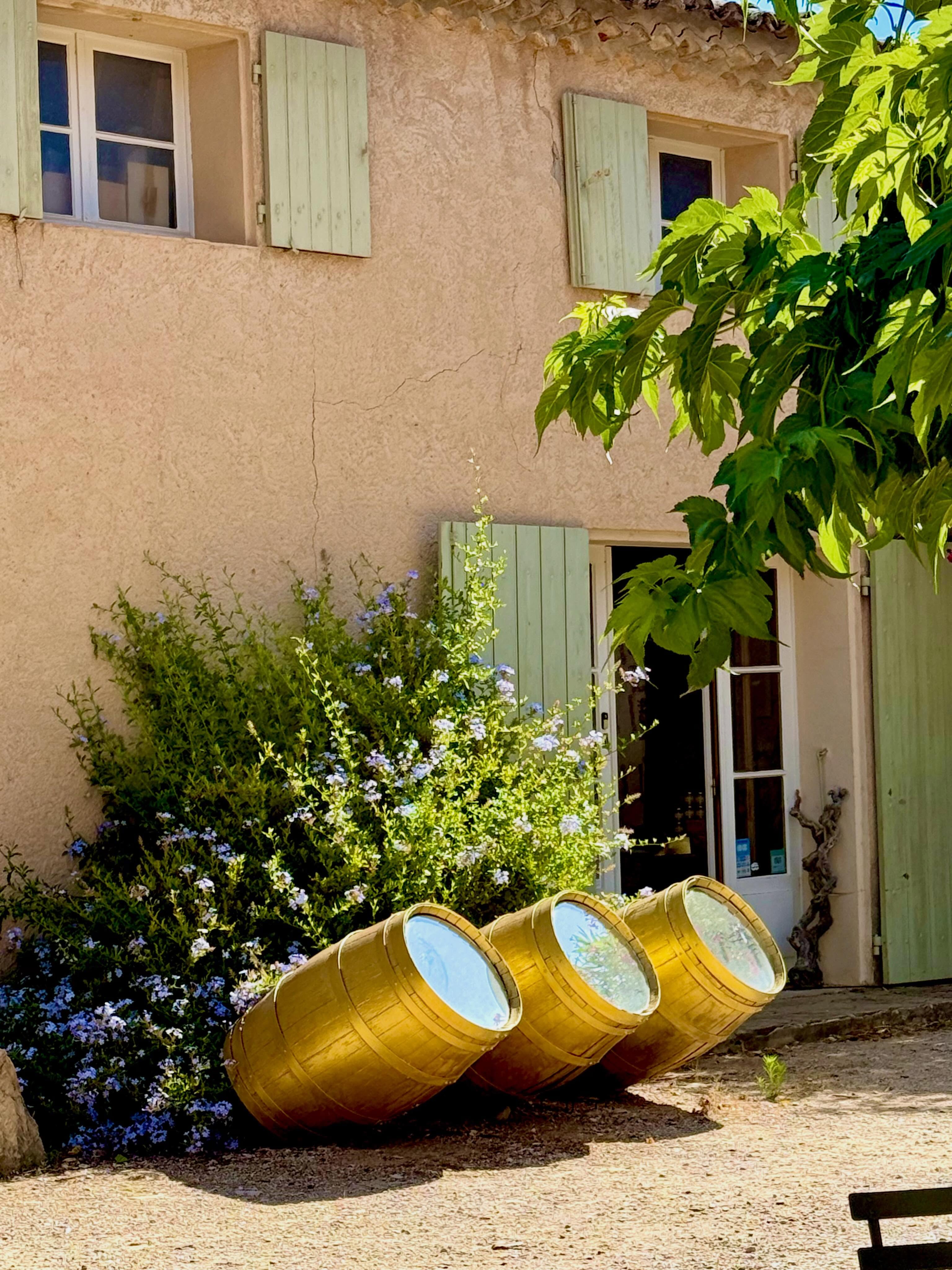 Domaine de l’Olivette morning #domainedelolivette🌿🍇🌿 #bandolwine #bandolfrance #cotedazure #travelbloggers