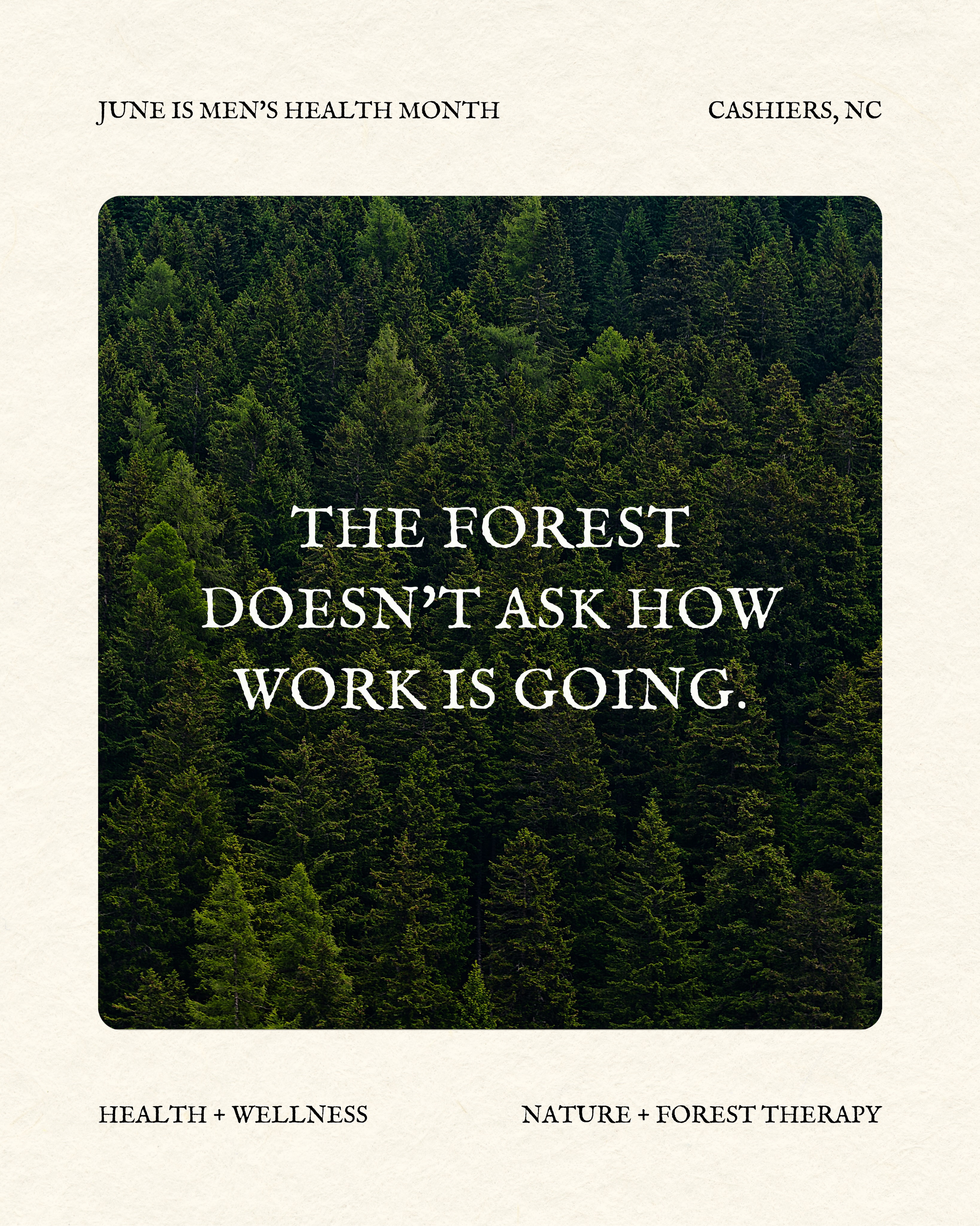 A walk in the woods isn’t the answer to everything. But it’s a pretty good place to start.
#foresttherapyguide #forestbathing #mentalhealth #juneismenshealthmonth #healingjourney