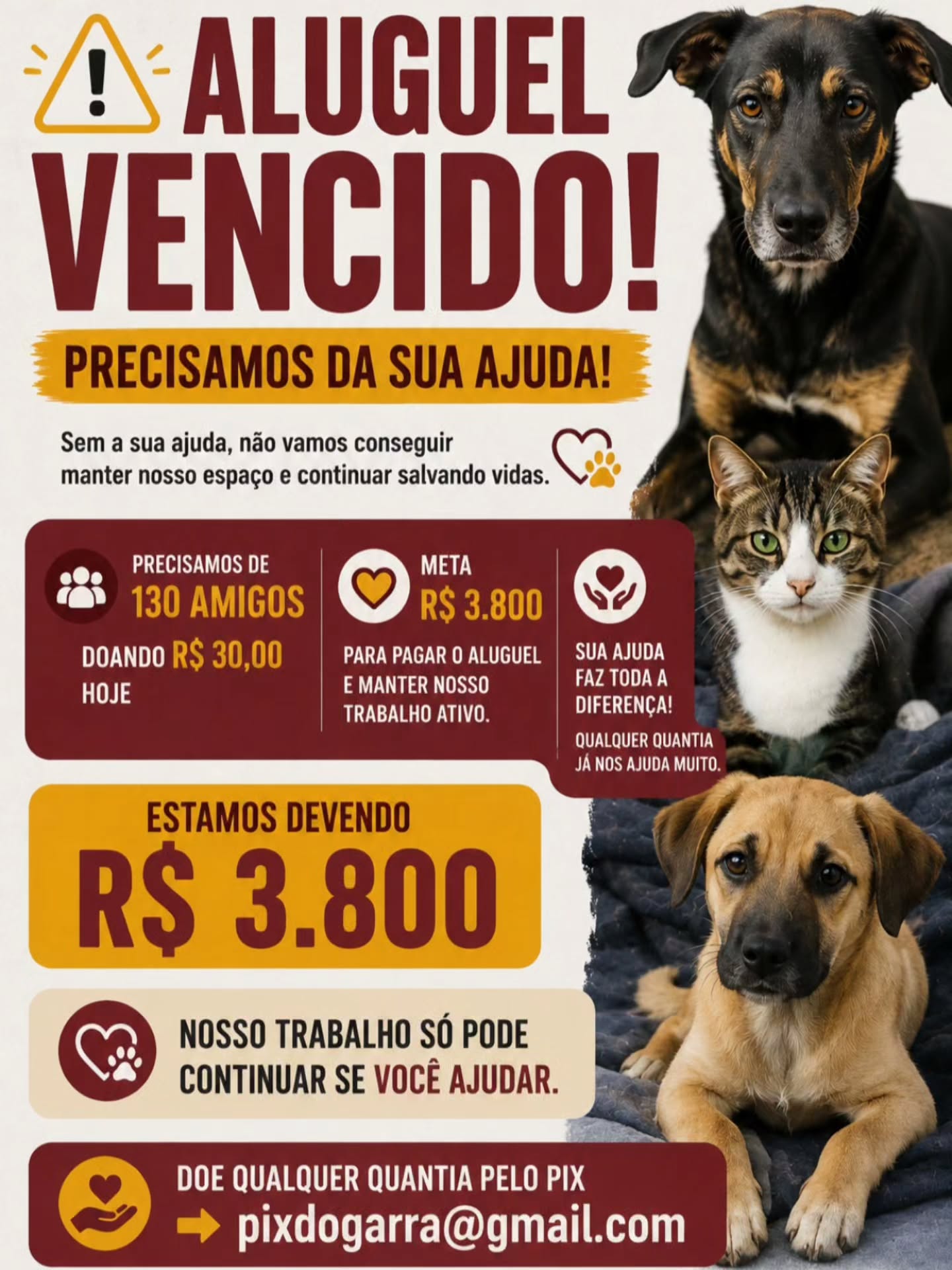 ‼️‼️ PRECISAMOS DE 130 PESSOAS DOANDO R$ 30,00 HOJE ‼️‼️
O aluguel do sitio onde vivem mais de 400 Garrinhos e Garrões está vencido desde o dia 05!
As cobranças são diárias....
Sem ajuda, não conseguiremos pagar e corremos risco de sermos despejadas
Por favor, colabore HOJE - ainda estamos no início do mês - para que o pior não aconteça!
🔑 🅿️ℹ️❌️ para ajudar é 21 98024-1232 ou pixdogarra@gmail.com
#ajudeogarra #onggarra #garrinhos #animais