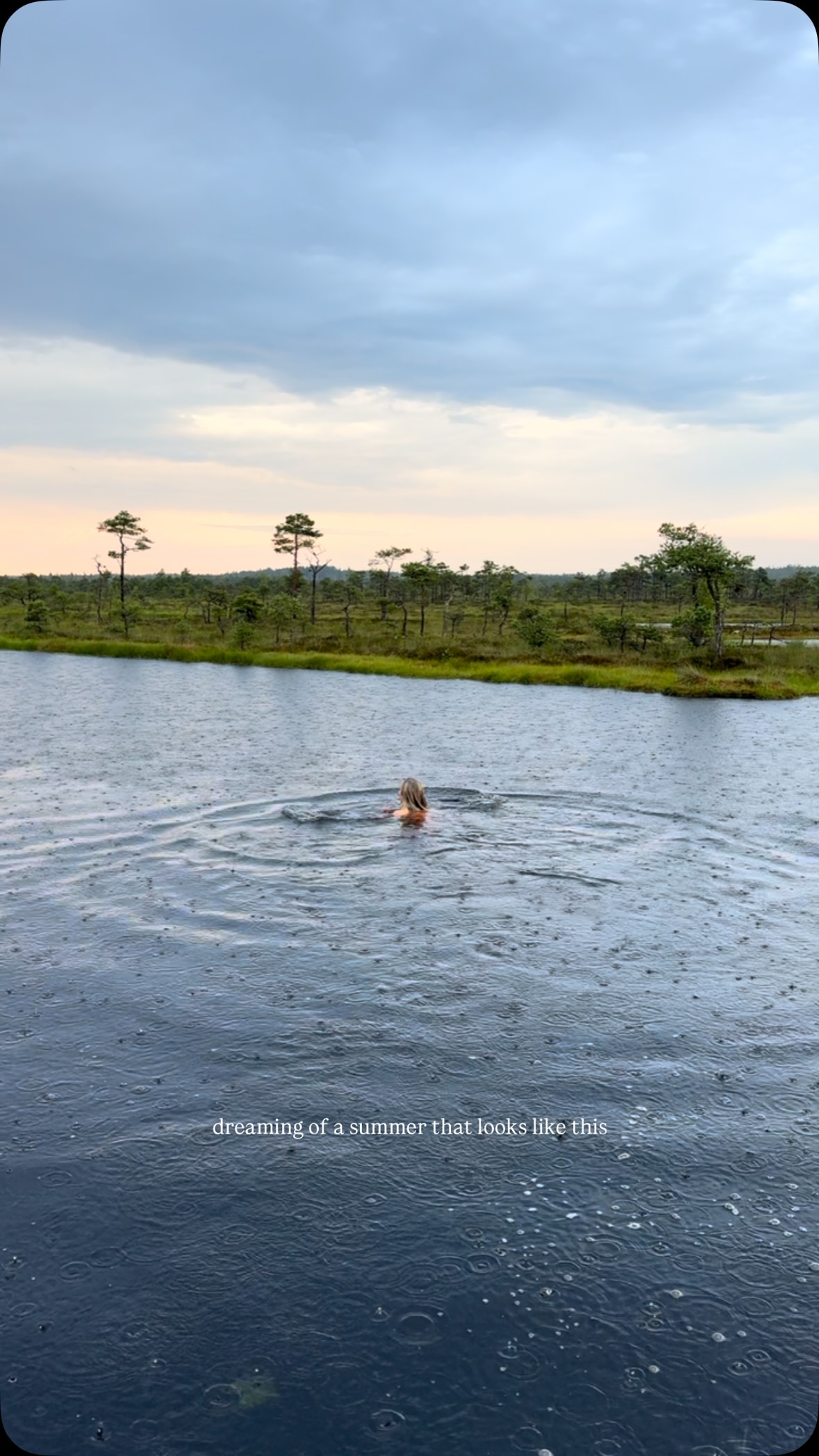 A favourite memory from summer â25 at our local bog in Soomaa National Park, Estonia đ¤đŚ