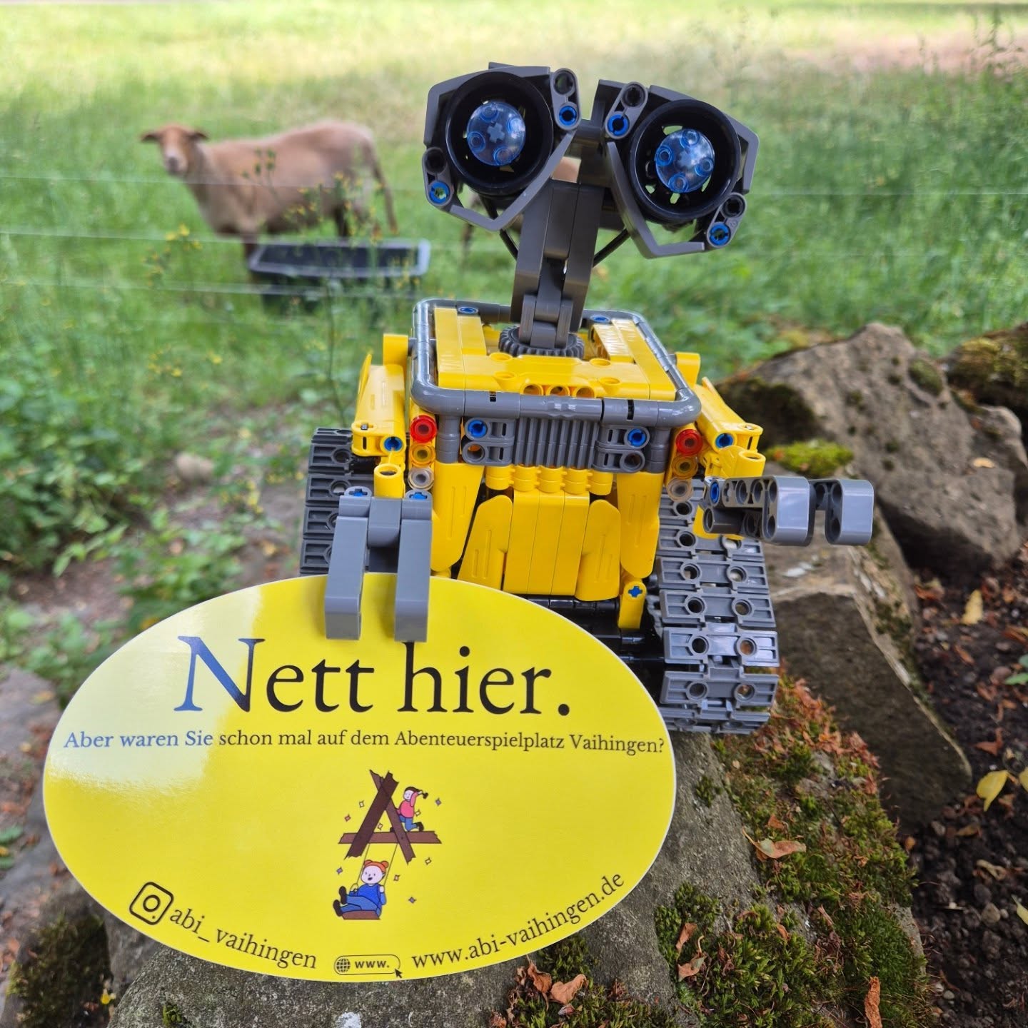 🚀 Wissenschaft, Action & jede Menge Spaß!
Letzte Woche sind wir mit unserer Experimentier- und Technikwoche perfekt in die zweite Ferienwoche gestartet.
Von chemischen Kettenreaktionen (Stichwort: Mentos-Cola-Kanone 💥) über selbstgebautes Spielzeug, bis hin zum Roboterbau war alles dabei.
#abenteuerspielplatz #stuttgart #vaihingen #ferien