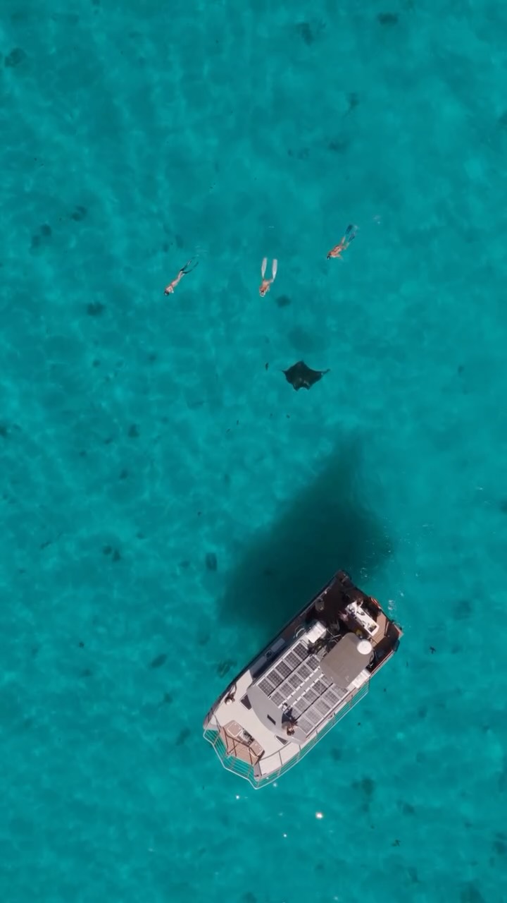 If you’ve been waiting for a sign, this is probably it.
Coral Bay Exclusive 🪸
@ollieclarkephoto
#CoralBayWA #ElectricBoat #NingalooReef #MantaRay #EcoTourism