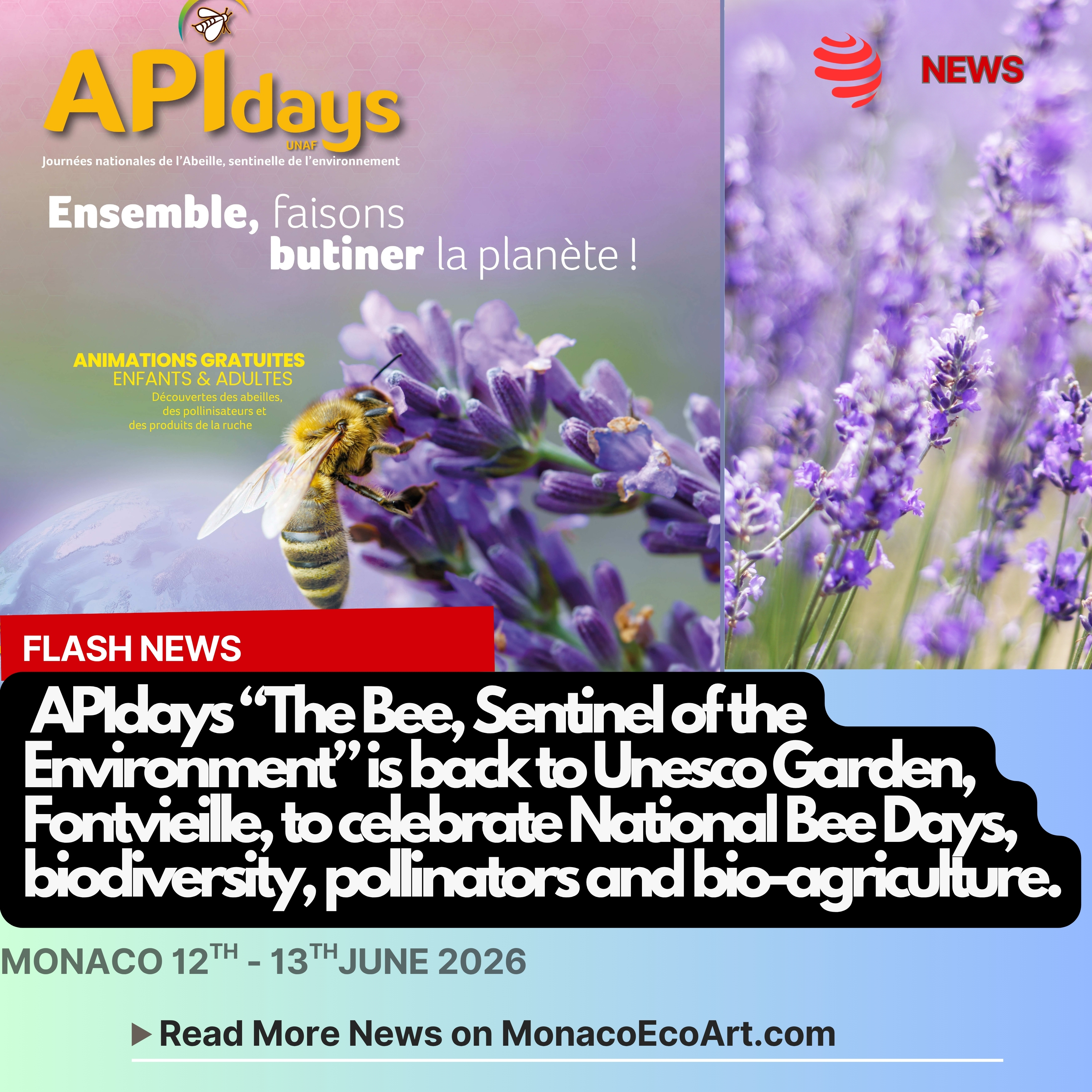 @mo.eco_art MonacoEcoArt.com #flash #latest #news #APIdays #celebration #monaco #June2026 🇲🇨🐝 On Friday the 12th and Saturday the 13th June 2026, APIdays "L'Abeille, Sentinelle de l'Environnement" (The Bee, Sentinel of the Environment) is being held at Unesco Garden on the terraces of Fontvieille, from 9 a.m. to 4 p.m. to celebrate National Bee Days 🍯🪁 Since the signing of this partnership (2011), many hives have been installed on the roof #terrace of the Museum of Stamps and Coins in Fontvieille, monitored by UNAF, assisted by a team from the #Gardens Section of the Urban Development Department (DAU) 🎯Monaco’s Government Gardens Section of the DAU and the Directorate of National Education, Youth and Sports are being offering free activities ✅👥 On this weekend’s agenda: Reception—public awareness and orientation; Workshops to design bee-wax #candles; Demonstration and extraction of #honey with Lucien Guérin, lead beekeeper; Melliferous plants, unveiled within a targeted #presentation and #workshop, entitled: "Lunch with or without bees"; Seed Bombs Workshop; Breeds of #bees and #beehives from around the #world; Connected hives through DENJS devices; Goose game—only on Saturday; Display of educational panels 🇪🇺⚖️ In response to pollinator decline, legislative frameworks like Italy's Legislative Decree 80/2026 (effective from May the 31st, 2026), protecting also #biodiversity and #marine ecosystems. align with the European Union's mandates to better protect #pollinators, enforce stricter pesticide management, and restore natural #habitats 📸 © Direction de la Communication @gvt_monaco - Layout and Contents by: © MonacoEcoArt.com