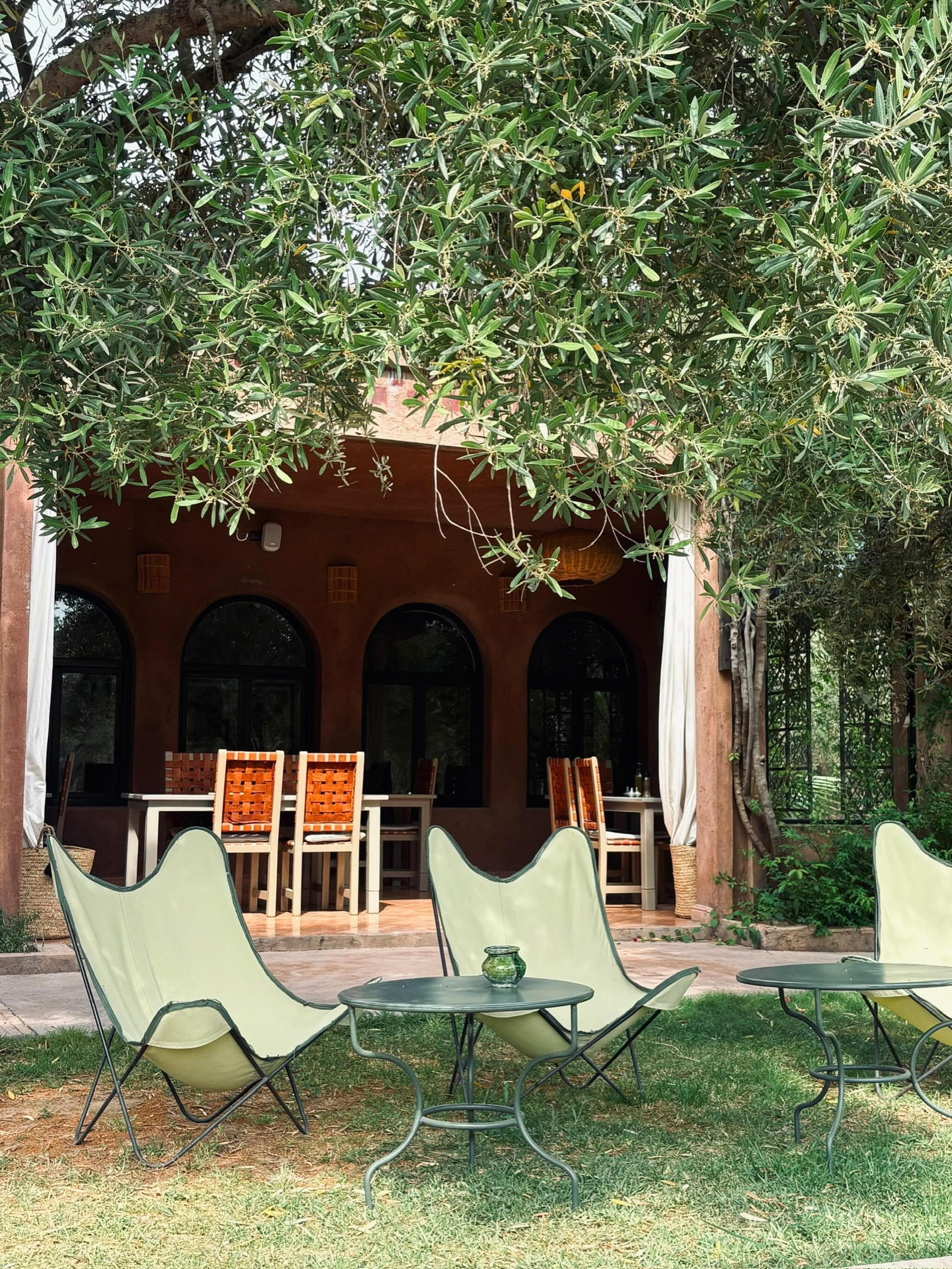 L’ombre douce d’un olivier, une chaise confortable, et la journée devant vous. Chez nous, l’art de ne rien faire est une discipline à part entière.
The soft shade of an olive tree, a comfortable chair, and the whole day ahead. Here, the art of doing nothing is a discipline in itself.
#domainedetam #marrakech #olivetree #outdoorliving #slowlife