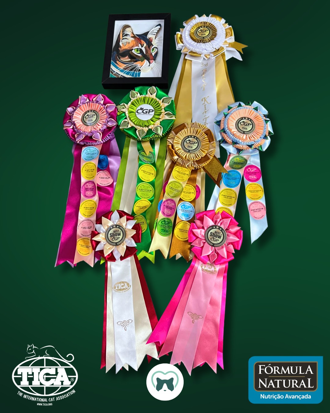 Mais uma exposição inesquecível do Clube do Gato do Paraná!
✨Compartilho nossos resultados e algumas fotos: ✨
🏆 Blumenkatzen Fergie – Filhote 4 meses
3 x 2ª Best Kitten AB
1 x 3ª Best Kitten AB
1 x 4ª Best Kitten AB
2 x 2ª Best Kitten LH
2 x 4ª Best Kitten LH
🏆 Blumenkatzen Dylan – Filhote 6 meses
1 x 1º Best Kitten AB
2 x 3º Best Kitten AB
1 x 4º Best Kitten AB
1 x 2º Best Kitten LH
1 x 4º Best Kitten LH
🏆 Purrstorm Milly – Adulta 2 anos
2 x 2ª Best Cat AB
2 x 3ª Best Cat AB
1 x 9ª Best Cat AB
1 x 1ª Best Cat AB
1 x 4ª Best LH Cat SP
1 x 10ª Best LH Cat SP
✨Conquistou seu título de Suprema Grande Campeã TICA
🏆 Blumenkatzen Arwen – Castrada 10 anos
1 x 4ª Best Alter AB
3 x 6ª Best Alter AB
1 x 7ª Best Alter AB
2 x 9ª Best Alter AB
2 x 3ª Best Alter LH
1 x 5ª Best Alter LH
Parabéns ao CGP, a querida Vera pela organização impecável ao lado de seus patrocinadores.
🐾 Somos muito gratos a todos que acompanham nossa trajetória e torcem pelos Blumenkatzen, que continuam escrevendo uma história de sucesso da raça Ragdoll no Brasil.💚
✨ O reconhecimento nas exposições é consequência do trabalho e dedicação realizado todos os dias em nosso lar.
Agradecimento especial a @formulanaturaloficial pela parceria.
Até a próxima! 🫶🏻💚
#blumenkatzen #tica #ticashow #ragdoll #ragdollbrasil