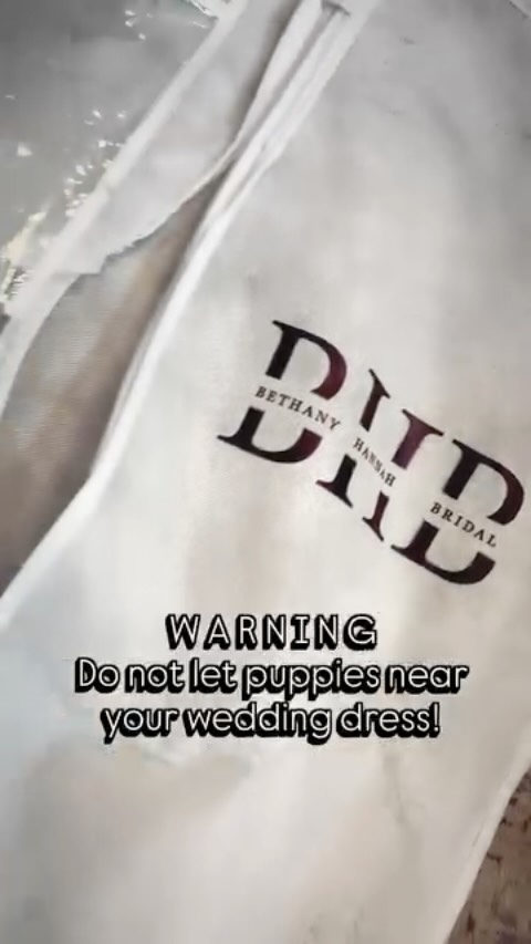PLEASE SHARE // To all brides out there, be careful when taking your dress home and please keep away from animals & children!! 😝
This was a lucky escape as it only had accessories in that we could save, Imagine if it was the wedding dress!! 🫠
No one wants this to happen! 🙏🏻
#bridesdress #bride #bridaladvice #puppies #weddingshop