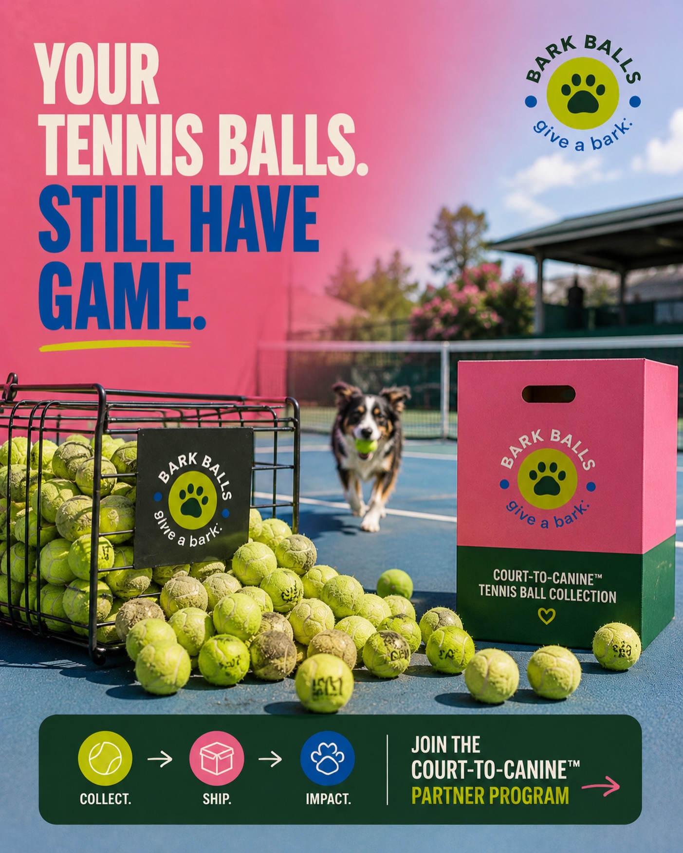 YOUR TENNIS BALLS. STILL HAVE GAME. 🎾🐾
Every week, tennis facilities across the country send us used tennis balls that would otherwise end up in the trash.
We collect them. We sort them. We give them a second life as Bark Balls — creating more play for dogs while keeping waste out of landfills.
Less waste. More wag.
Interested in bringing the Court-to-Canine™ program to your facility? Send us a DM or visit bark-balls.com to get started.
#CourtToCanine #TennisFacility #TennisClub #Sustainability #BarkBalls