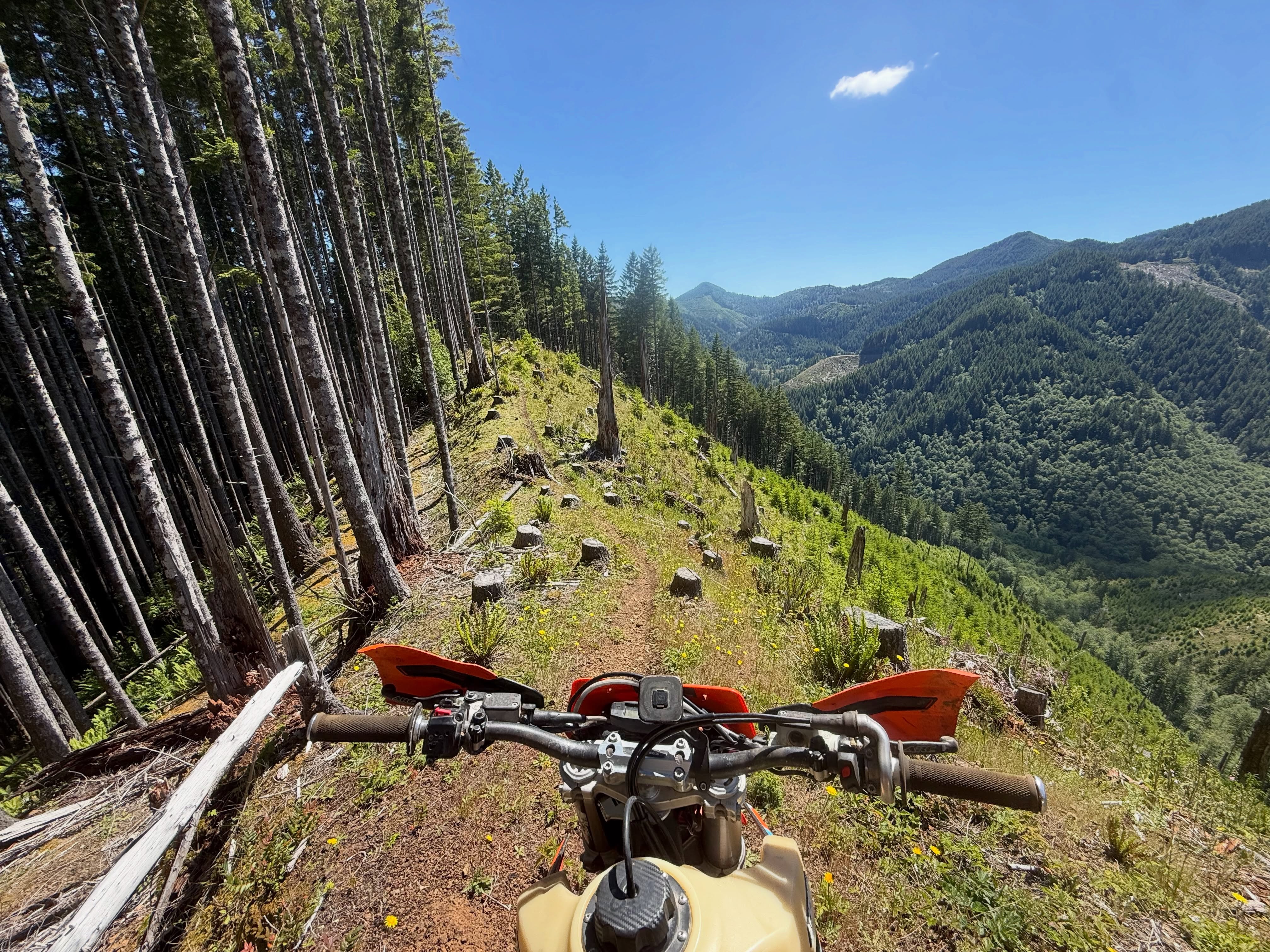 Tillamook rainforest is my favorite summer getaway