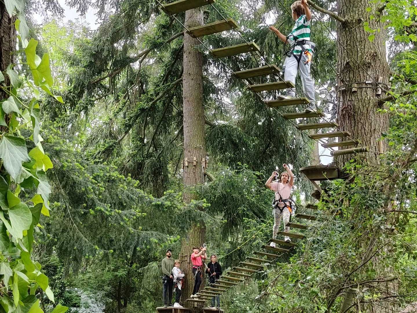 Vine a viure una aventura entre els arbres!
Ponts penjants, tirolines, reptes i molta diversió en plena natura. Tant si vens amb família, amics o en parella, t'espera una experiència plena d'emocions i moments inoblidables.
T'atreveixes a descobrir el bosc des d'una altra perspectiva? 🍃💚
#LaSelvaDeLAventura #AventuraEntreArbres #TurismeActiu #Natura #Tirolines ParcDAventura CostaBrava GironaExperience PlansEnFamilia EscapadaRural OutdoorAdventure Catalunya ViuLaNatura AventuraEnFamilia TreeTopAdventure