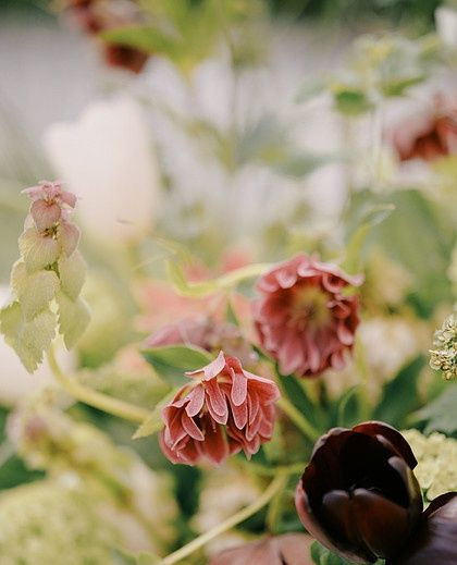 Wedding flowers are some of my favorite details to photograph because they bring so much beauty, personality, and emotion to a wedding day. Every bouquet, boutonniere, centerpiece, and floral installation is carefully chosen to reflect a couple's style and vision. The colors, textures, and intricate details create stunning images while helping tell the story of the day. Flowers are often present during many of the most meaningful moments—from walking down the aisle to exchanging vows and celebrating at the reception. Capturing these beautiful arrangements preserves the artistry and thought that went into creating a wedding that feels uniquely yours, allowing those details to be remembered long after the flowers themselves have faded.
#reddingwedding #reddingbride #reddingweddingphotography #norcalweddingday #sanomaphotographer #sanomaweddinginspiration #caliweddingideas #winecountrywedding #norcalweddingplanners #instawedding #sacramentoweddinginspo #sfweddingplanning #weddingdetails #dreamweddingideas #shastawedding #norcalbrides #engaged #stylishweddingideas #beautifulweddings #norcalweddingphotogs #norcalphotographer #calibeachwedding #arroyograndebeachwedding #calidestinationweddingphotographer #caliweddingphotographer #travelweddingphotographer #bayareaweddingphotographer #santacruzweddings #sanluisweddings #sfweddingphotographers

