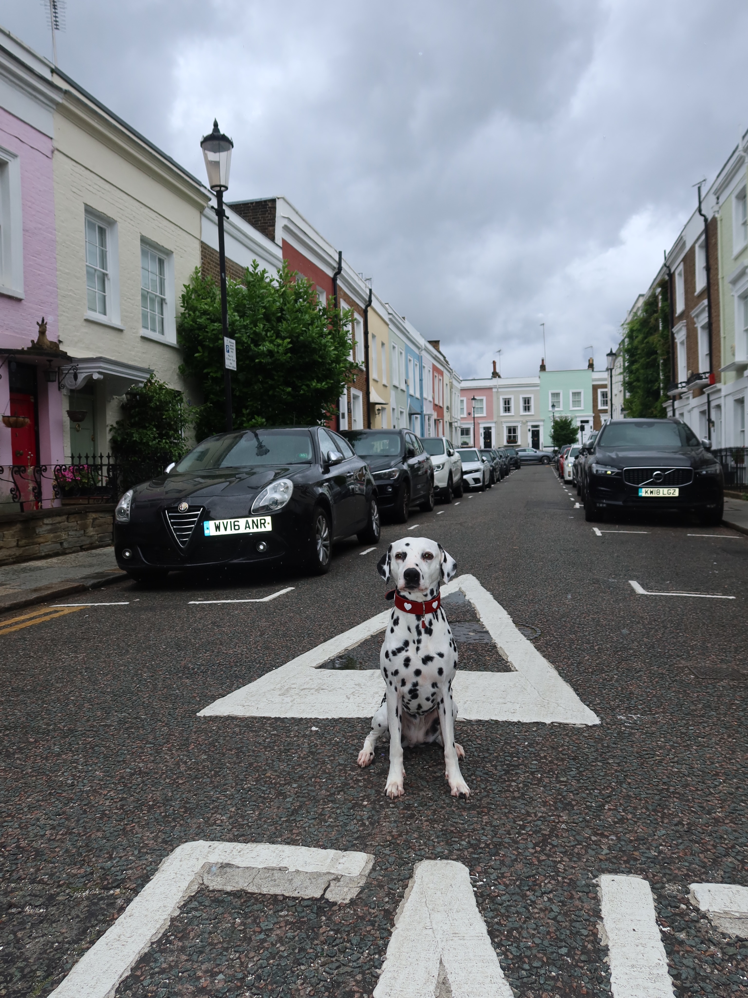 Earlier this week, Gwen and I spent the day exploring Notting Hill with Mae before taking the ferry home. Now we’re back in the Netherlands for the summer, but we are still enjoying the pictures from such a lovely day!😍🇬🇧🐾