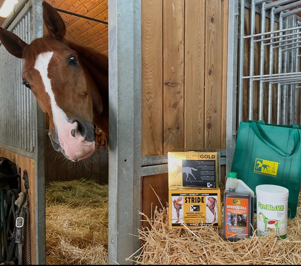 Der Chef im Stall hat alles genau im Blick. 👀🐴
Bei der täglichen Versorgung machen wir keine Kompromisse. 💚🐴
Damit der vierbeinige Partner bestmöglich versorgt ist, setzen wir auf hochwertige Ergänzungsfuttermittel von TRM. 💚🐴
Ob Unterstützung für Gelenke, Darmflora, Elektrolythaushalt oder Regeneration – die passende Versorgung trägt dazu bei, dass sich das Pferd rundum wohlfühlt!
@trmnutrition
#TRMNutrition #Pferdegesundheit #Pferdesport #Pferdeliebe #Stallalltag