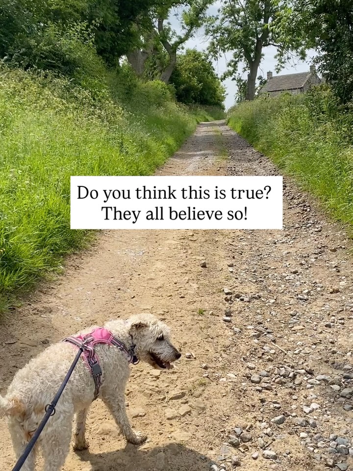 Do you think this is true???
We love reading your reviews for our Norfolk team 💙
Thank you for being golden everyone 😇
#norfolkbusiness #dogsofinstagram