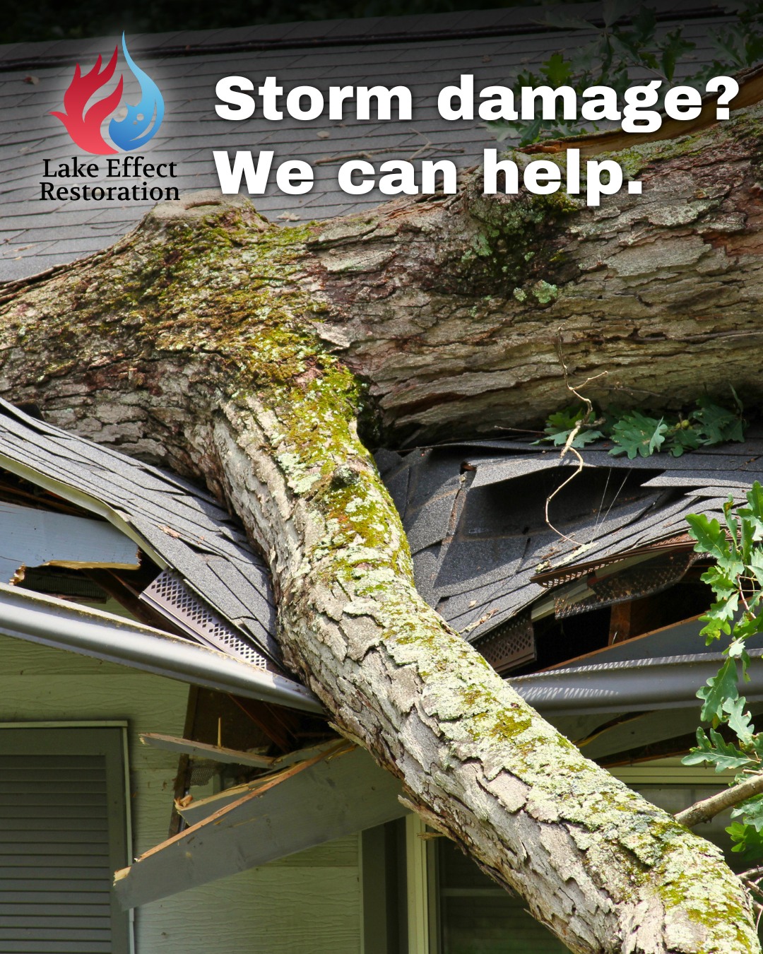 Northern Michigan summer storms can turn serious fast.
Heavy rain, flooding, high winds, fallen trees, and flying debris can leave behind major property damage in minutes. When that happens, waiting can make the damage worse.
If your home or business is hit by storm damage, call the local restoration team that is ready to respond.
Fast help matters. Give us a call today at (231) 883-4183 for a free consultation. We work with all insurance companies.