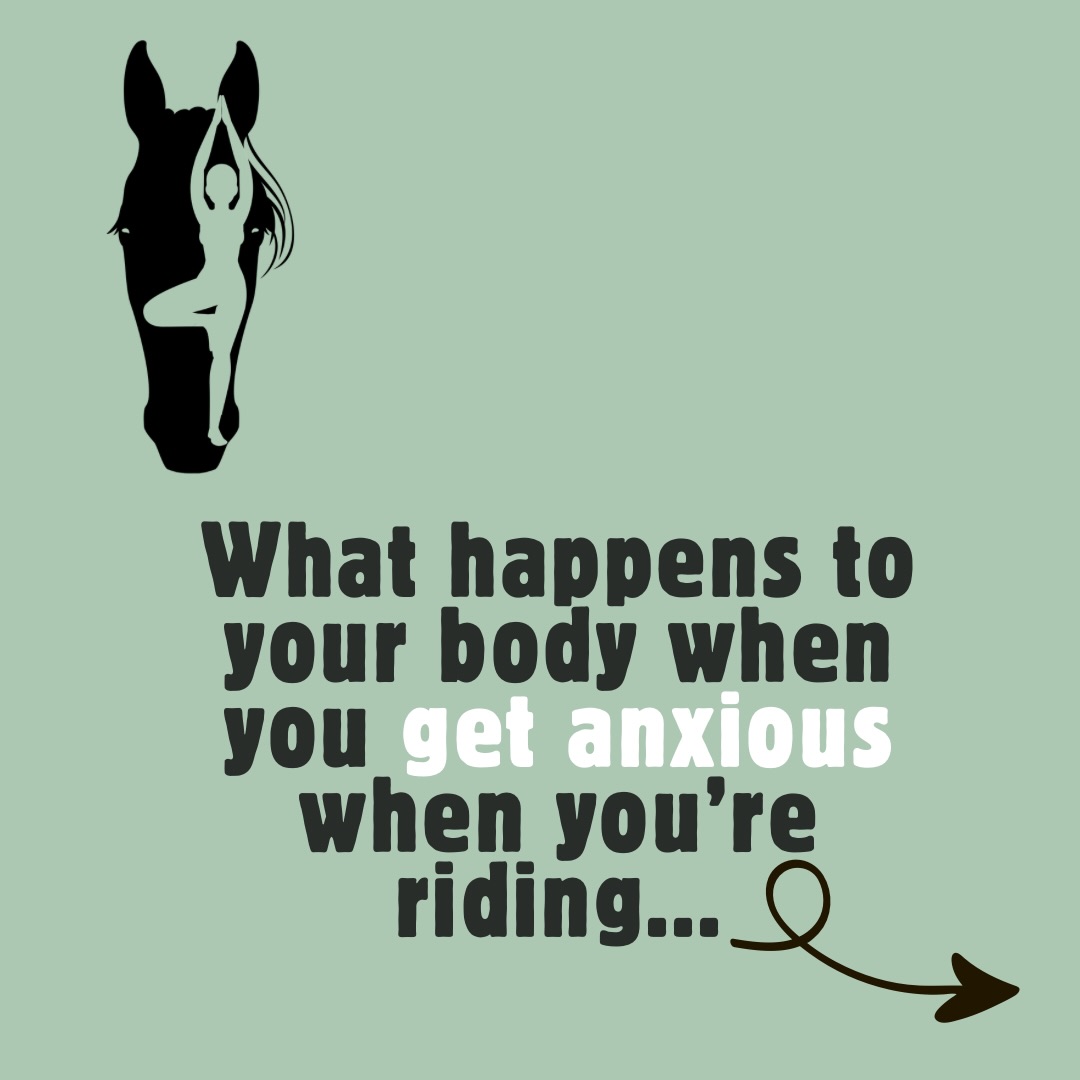 Often positional “issues” are not always caused by biomechanical imbalances, sometimes they are driven by the nervous system response to stress or fear.
Understanding this helps us to see how we need to think about regulating our system, and surrounding ourselves by others who regulate it too.
Working with riders nervous systems is one of my big passions. Understanding how our nervous system effects our movement and feel on a horse and then how that in turn feeds back to create a unregulated nervous system is such a big thing I believe all riders and coaches need to have in their knowledge box 📦
💚