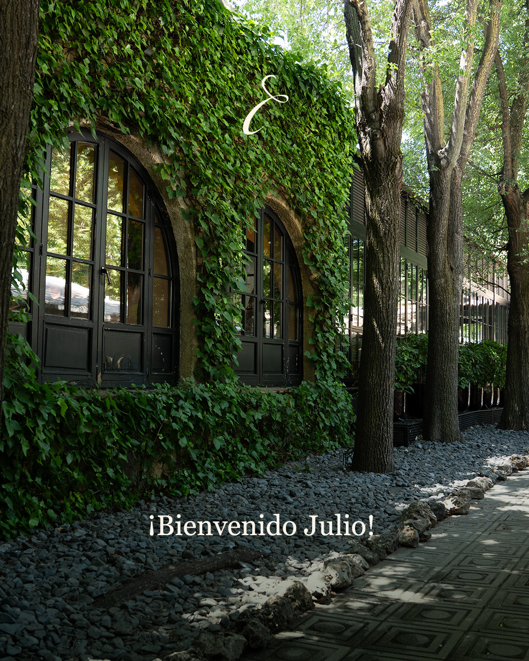 Julio ya está aquí y con él llegan las sobremesas interminables, las comidas al aire libre y esos momentos que saben a verano.
En Casa Emiliana te esperamos para disfrutar de la mejor gastronomía en un entorno único, rodeado de naturaleza y pensado para compartir.
¡Bienvenido, julio!
¡Bienvenidos los buenos momentos!
#CasaEmiliana #VeranoEnMadrid #Julio #SanSebastianDeLosReyes #RestauranteMadrid #PlanesEnFamilia