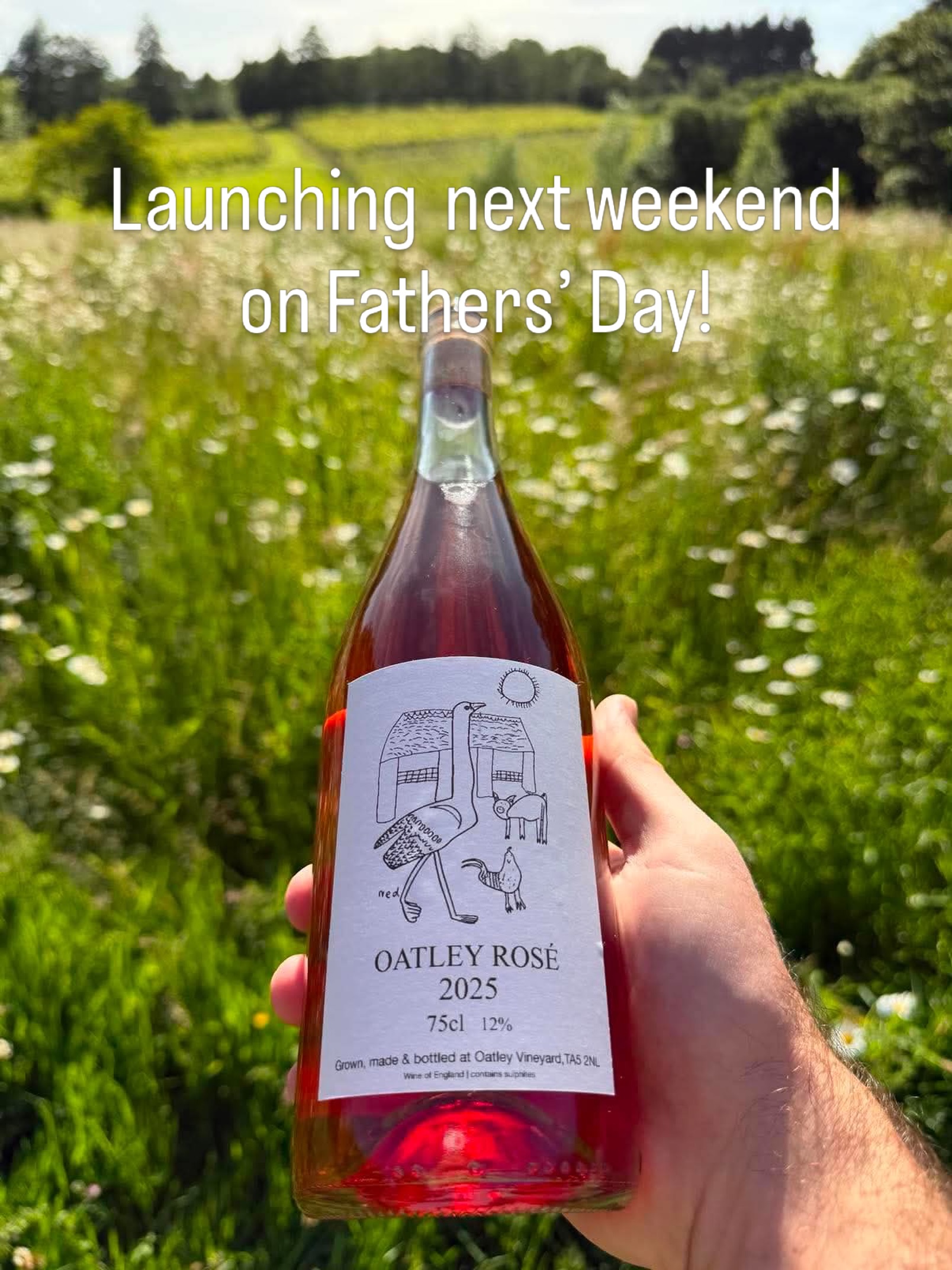 🌸☀️ Rosé, sunshine and celebrations! ☀️🌸
We’re delighted to launch our new Ros