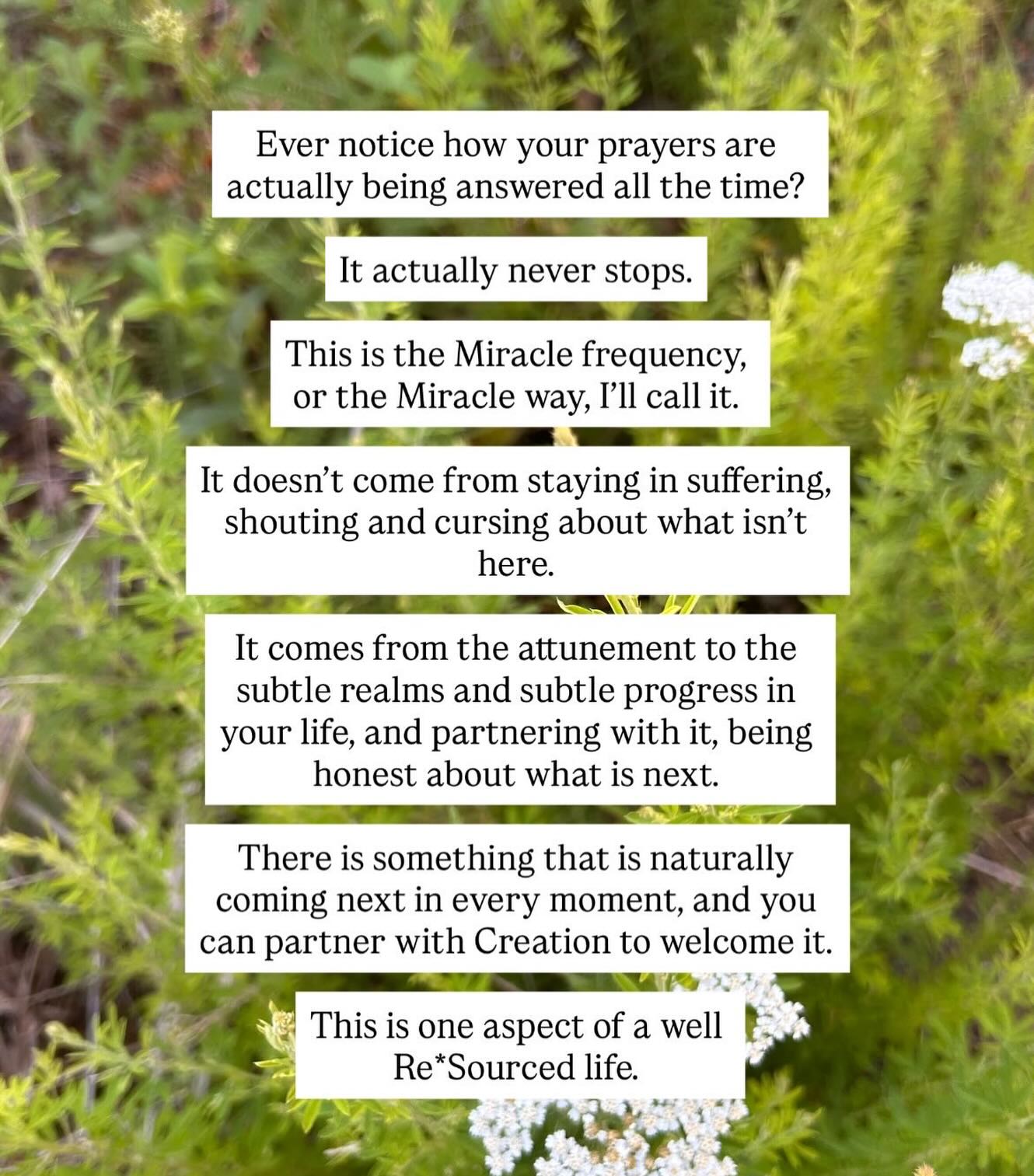 When we remember how to merge Source with our Sophianic bodies, all of the information and messages become clear about what is and is not for us.
✨
#resourcedwomen