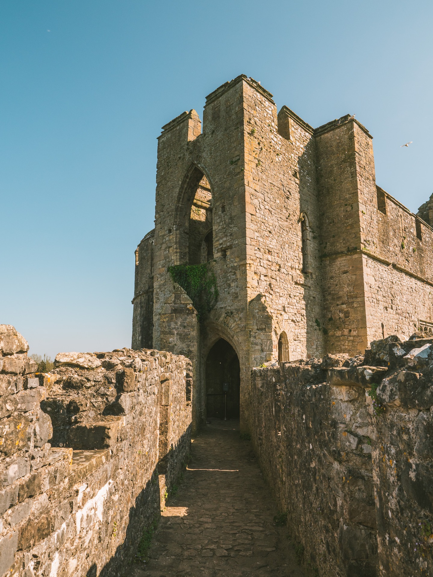 Nearly a thousand years later, these stunning views of Chepstow Castle will still stop you in your tracks.
Walk through that great arched gateway and you're stepping into the work of William Marshal, arguably the greatest knight of the medieval age.
He built the very first twin-towered gatehouse in Britain and fitted it with iron-plated doors so revolutionary in their construction that the originals remain the oldest castle doors in Europe. You can still see them on display inside.
What makes Chepstow feel different from so many castles is how lived-in it feels. Peer through the narrow window slits and you're looking out over the same rooftops and garden walls of the town below that have quietly sat there for centuries.
Walk the castle grounds and enjoy the view of the River Wye stretching out beneath you, wide and unhurried.
👉 If you've not visited recently, it's well worth a morning of your time. If you have already visited and want to explore some more amazing sites, we think you’d love Raglan Castle and Tintern Abbey.
P.S. Find everything you need to plan your next adventure on our website…
📸 @lauslocations
@cadwcymruwales
#VisitDeanWye #UKCastles