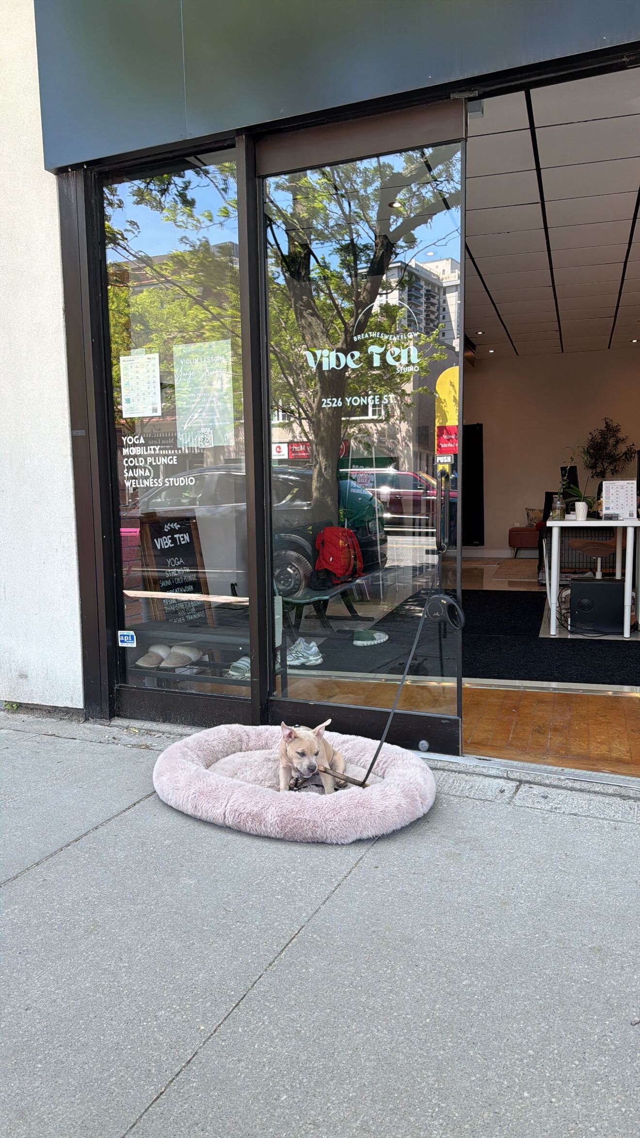 Yoga may bring us to the mat, but community is what keeps us coming back.
The conversations before class. The familiar faces. The support on the hard days and the celebrations on the good ones.
At Vibe Ten, we’re grateful for a community that shows up for each other, grows together, and reminds us that we’re never doing this alone. 🤍
..
#yoga #yogastudio #yogacommunity #yogatoronto #yogaclass