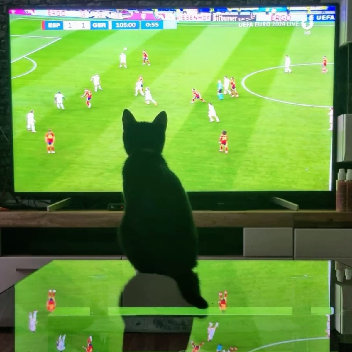 For the next month, every cat is a football expert. š±ā½
#catmeme #worldcup2026 #catlovers #catswoppr