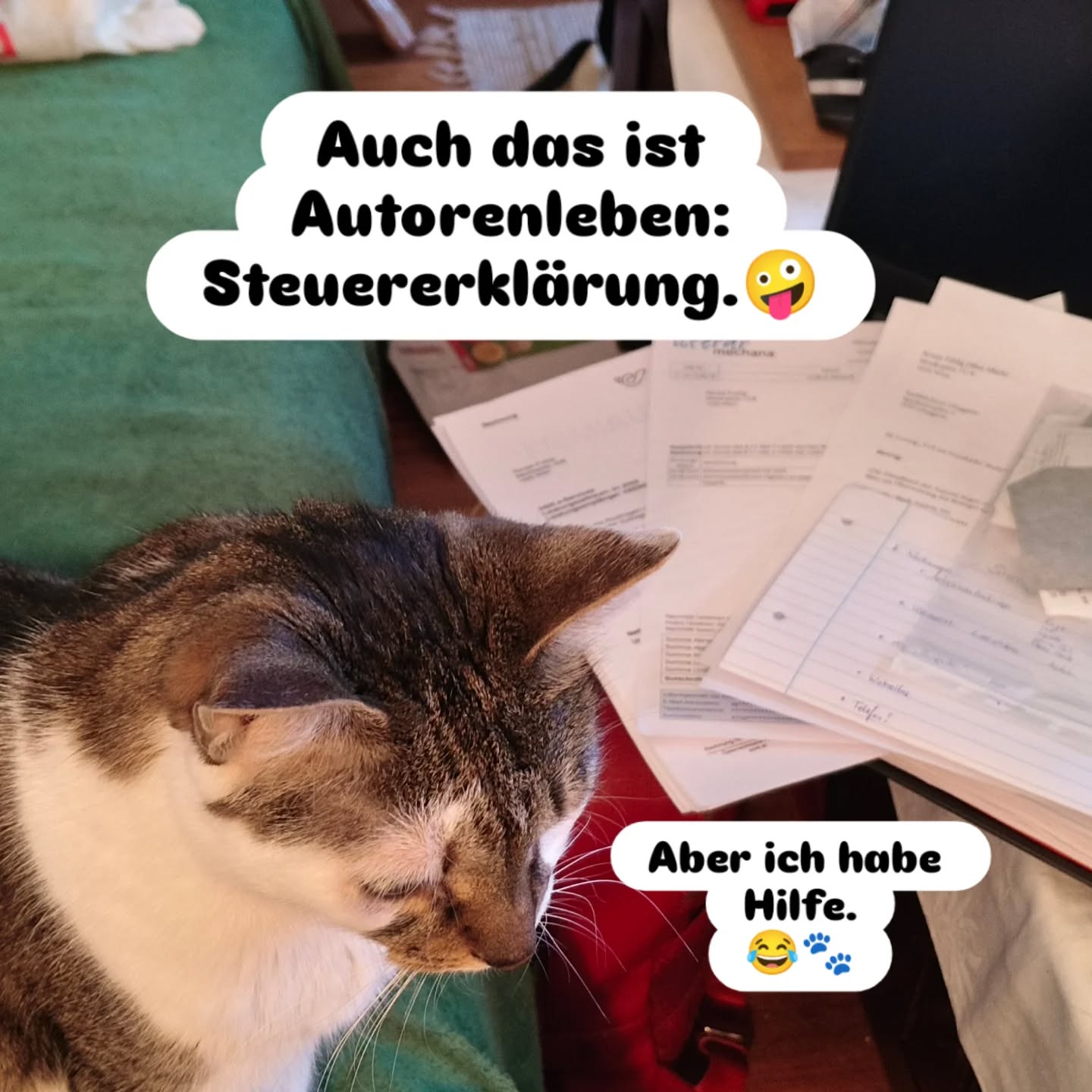 Was soll man machen? Auch das gehört zu meinem Leben als Autorin.
Immerhin hatte ich grooooße Hilfe!😂🐈⬛😂
Und nun hab ich wieder ein Jahr Ruhe.
Uffff ... 🥳