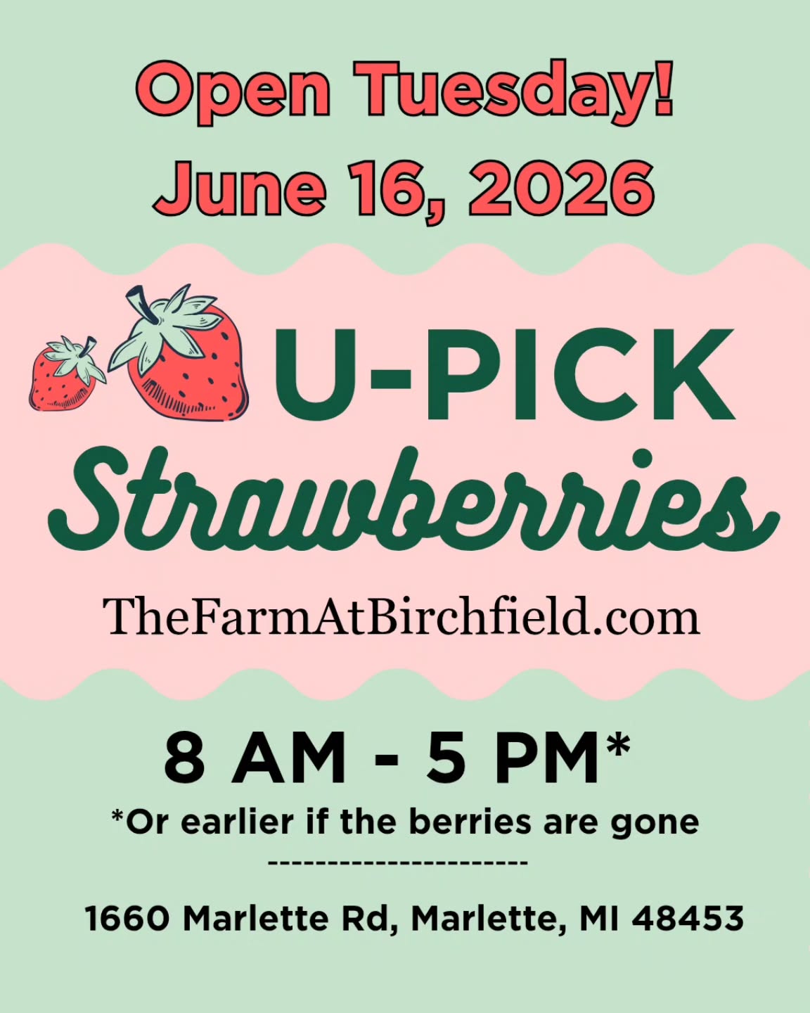 The picking was so good we're going to do it again tomorrow! 8 a.m. until it rains 🌧️ or the berries run out 🍓🚫
Tag your friends and let us know if you plan to be there!
$3.50 per pound.
If you don't feel like picking, we can pick for you. Pre-pick flats $45.