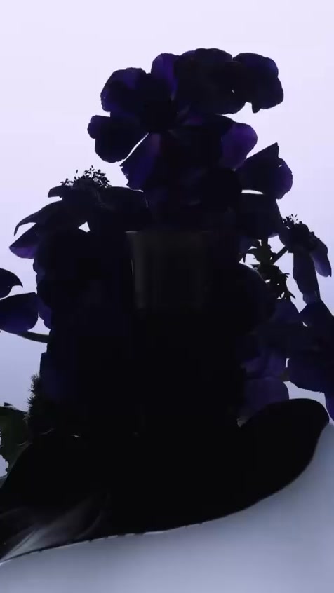 【星級贊助】
記得上個月活動裡面,有好多朋友都被 @liquides_imaginaires 的高貴香氣吸引過去。而他們最新的Âme de Fleur 更是最新出品,在紫色瓶身裡蘊含茉莉花和木質香調,從中尋找到一種淡雅的愛,好比大家對紅斑狼瘡患者的擁抱。🪻
有興趣的朋友可以到以下地址親身體驗來自Liquides Imaginaries的溫柔,
期間限定的POP-UP store至7月底。
Kiosk 3F, Level 3, Gateway Arcade, Harbour City
#LiquidesImaginaires #amedefleur #floralfragrance #nicheperfume