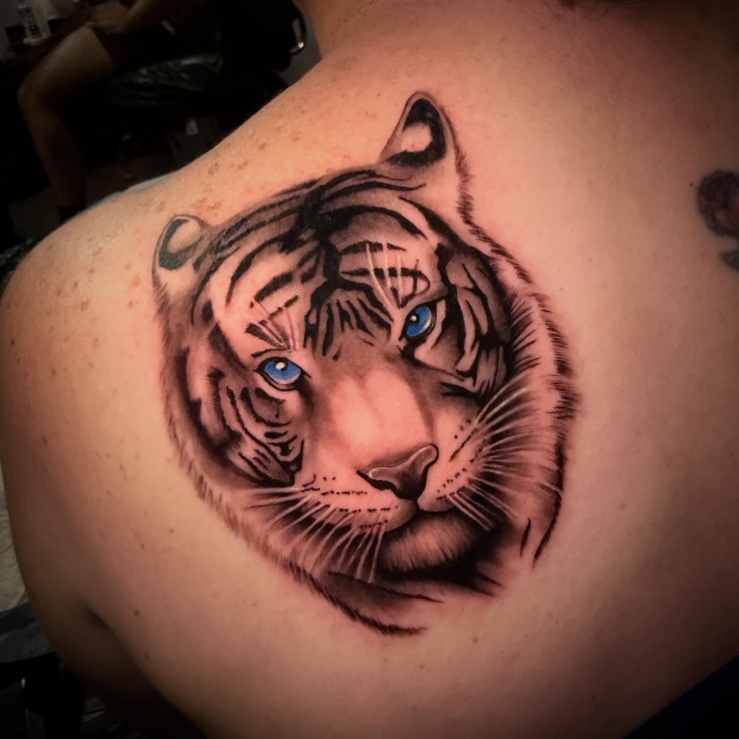 Thanks heaps Renee 🙌🏼 it was an absolute pleasure working with you!
#albury #alburytattoo #cats_of_instagram #alburywodonga #realismtattoo
@eternalsanctumtattoo
@bamboogoo.au