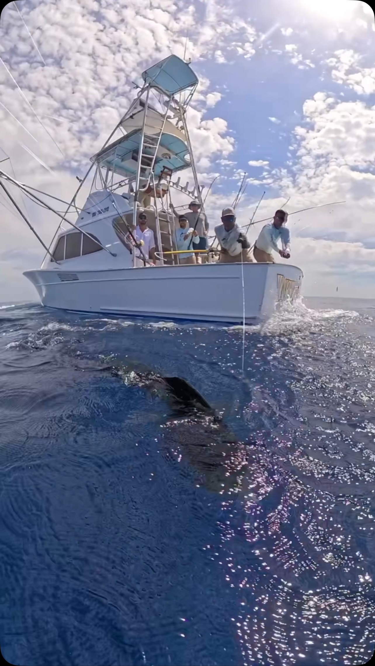 Well we catch a lot of fish day after day. You’re bound to miss a few. We did catch 26 sailfish this day. Several Mahi-mahi and we missed out on this Jumbo Mahi that almost pulled Danilo over the side. No worries- Mahi are a by-catch for us. Fish w/ INTENSITY!!!
