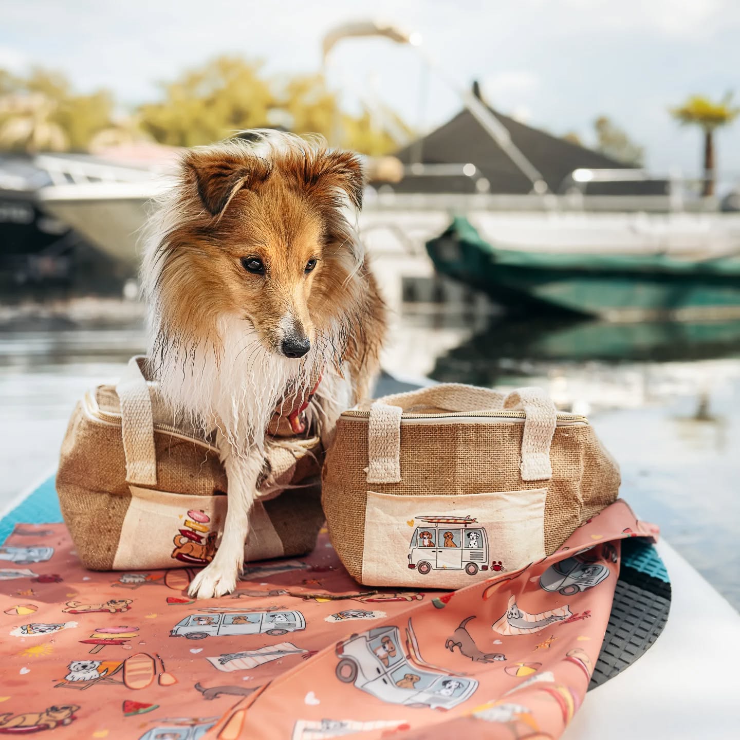 Eine Kühltasche im Sommer ist Pflicht bei uns 😍☀️ keiner hat Lust auf warme Getränke am Badeteich, beim Wandern oder unterwegs im Auto oder? 🤭 🌴