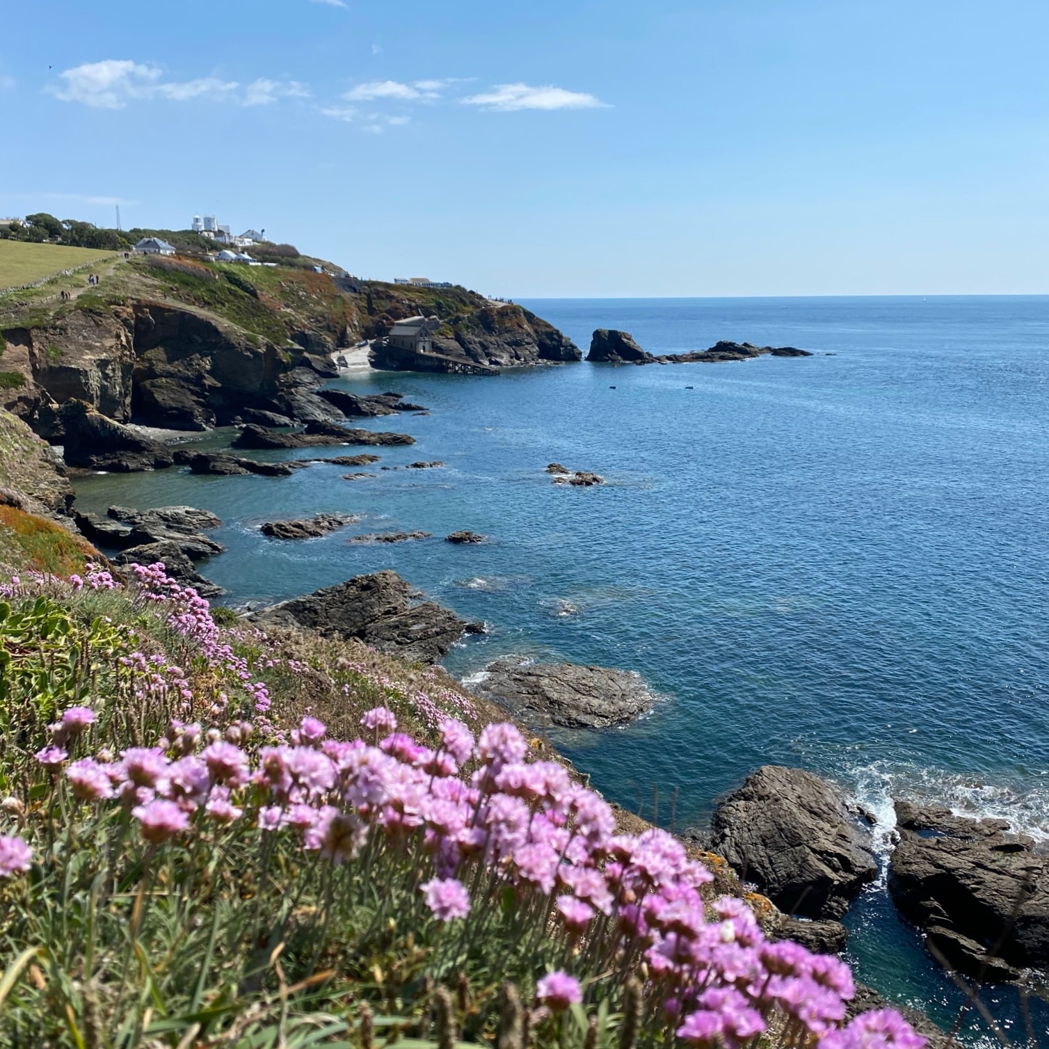 Cornwall Geowalks coming up this week…
Lizard Point and Kynance Cove (full-day) - Saturday 20th June
Book now: https://www.cornwallgeologist.co.uk/event-details-registration/lizard-point-and-kynance-cove-guided-geowalk-full-day-saturday-20th-june-2026
This walk along the coast at the southernmost point of Britain is also a journey through the exotic geology and landscapes of the Lizard Peninsula. Discover the origins of famous rocks like serpentinite, and explore the boundary where two tectonic plates once collided!
The breadth of Cornish geology even includes its own ophiolite – a fragment of oceanic crust! Get your hands on exotic rocks that formed in the Earth’s mantle, and learn about their dynamic journey to where we can see them on the Lizard.
Discover of the origins of this rock that the Lizard is most famous for. Learn about the processes that gave us this popular ornamental stone, and its other uses as a source of industrial minerals. You might also find the infamous soapstone used for making porcelain.
Lizard Point isn’t only a geographic landmark, but a geological one too. These are the oldest rocks in Cornwall, around 500 million years old! Discover these rocks that experienced extreme pressures and temperatures on their journey to where we see them today.
Experience the impact of global tectonics that moulded the dynamic landscape around us. See where two mighty tectonic plates once collided, and learn how they dragged up rocks from deep inside the Earth.
Cornwall Geowalks are guided geology walks around Cornwall’s world-class geological sites and areas of outstanding natural beauty, guided by me! Please see the website for more details. Links in bio.
#geowalks #cornwall #cornwallgeology #geology #geologist