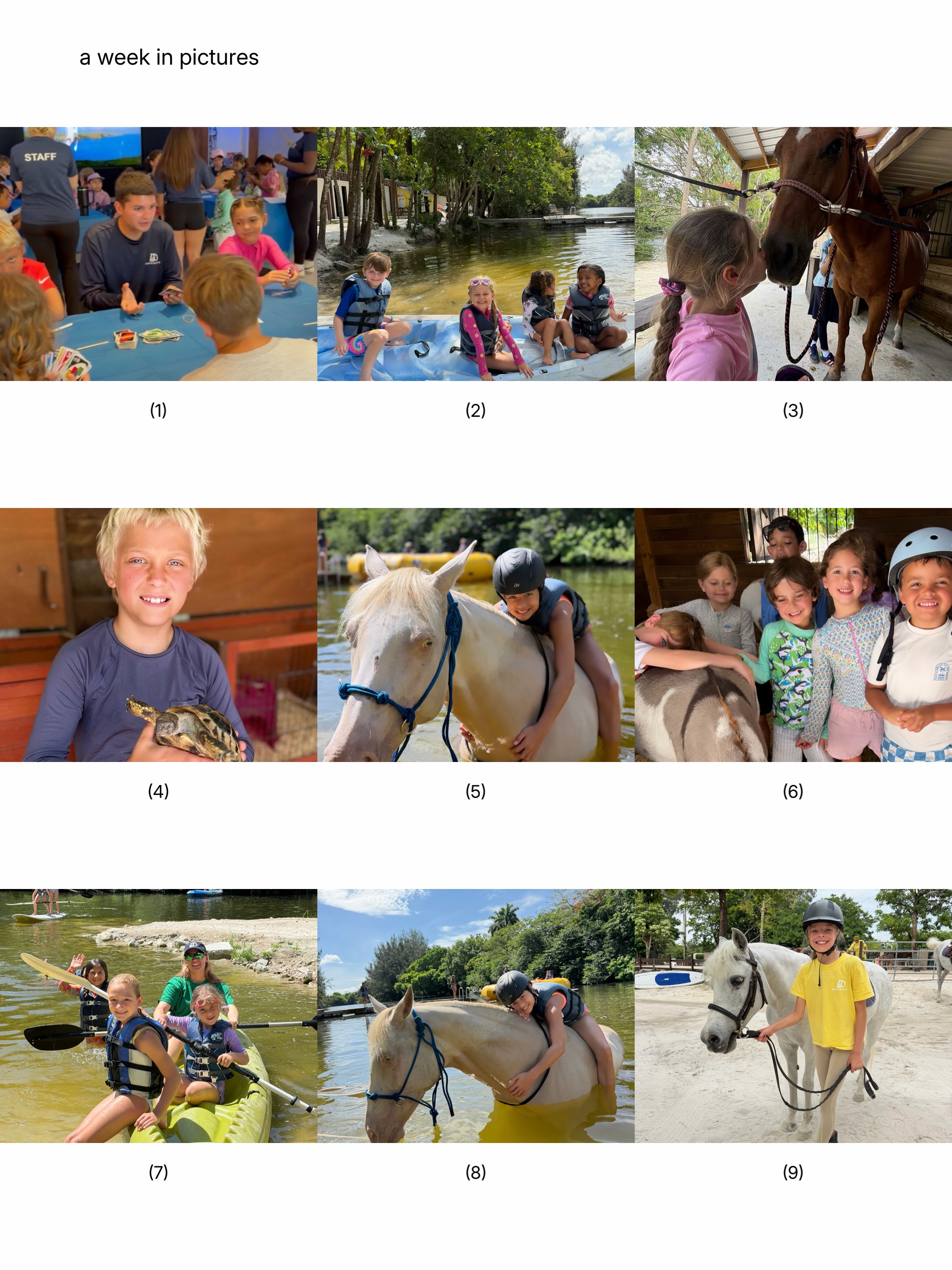 What a week at Davie Ranch ๐ดโ๏ธ
(comment CAMP for registration link)
From first canters to bunny kisses, lake swims to new best friends โ these kids packed a whole summer of memories into just five days.
Swipe through Week 1 ๐ horseback riding, swimming with horses, snuggles in the petting zoo, kayaking the lake, feeding the goats, and so much more.
This is what summer is supposed to feel like. ๐
Week of June 16 is filling up โ comment CAMP for link to register
๐ Davie, FL | Ages 5โ15
#daviefl
Summer camps in Davie, FL for kids ages 5โ15 including pony camp, riding lessons, outdoor adventure camp, and teen leadership programs at Davie Ranch.