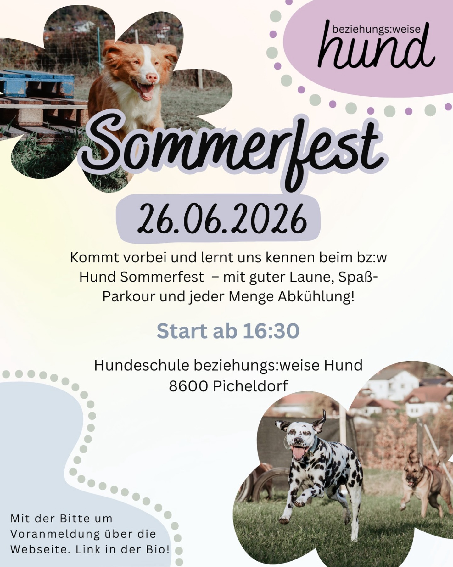 🌡️!!!ABGESAGT AUFGRUND VON HITZE!!! 🌡️
Sommerzeit = Hundeschulzeit 😎🐬🌴
Bei uns geht es diesen Sommer mit guter Laune, Spaß und jeder Menge Abkühlung durch die Urlaubszeit. Wir Starten direkt mit einem entspannten Sommerfest bei dem ihr uns und die Hundeschule besser kennenlernen könnt. Wir hoffen Ihr seid am 26.06. dabei und freuen uns schon neue und bekannte Gesichter zu sehen!
Wir bitten um Anmeldung zur besseren Planung der Verpflegung. Link zur Anmeldung ist in der Bio.