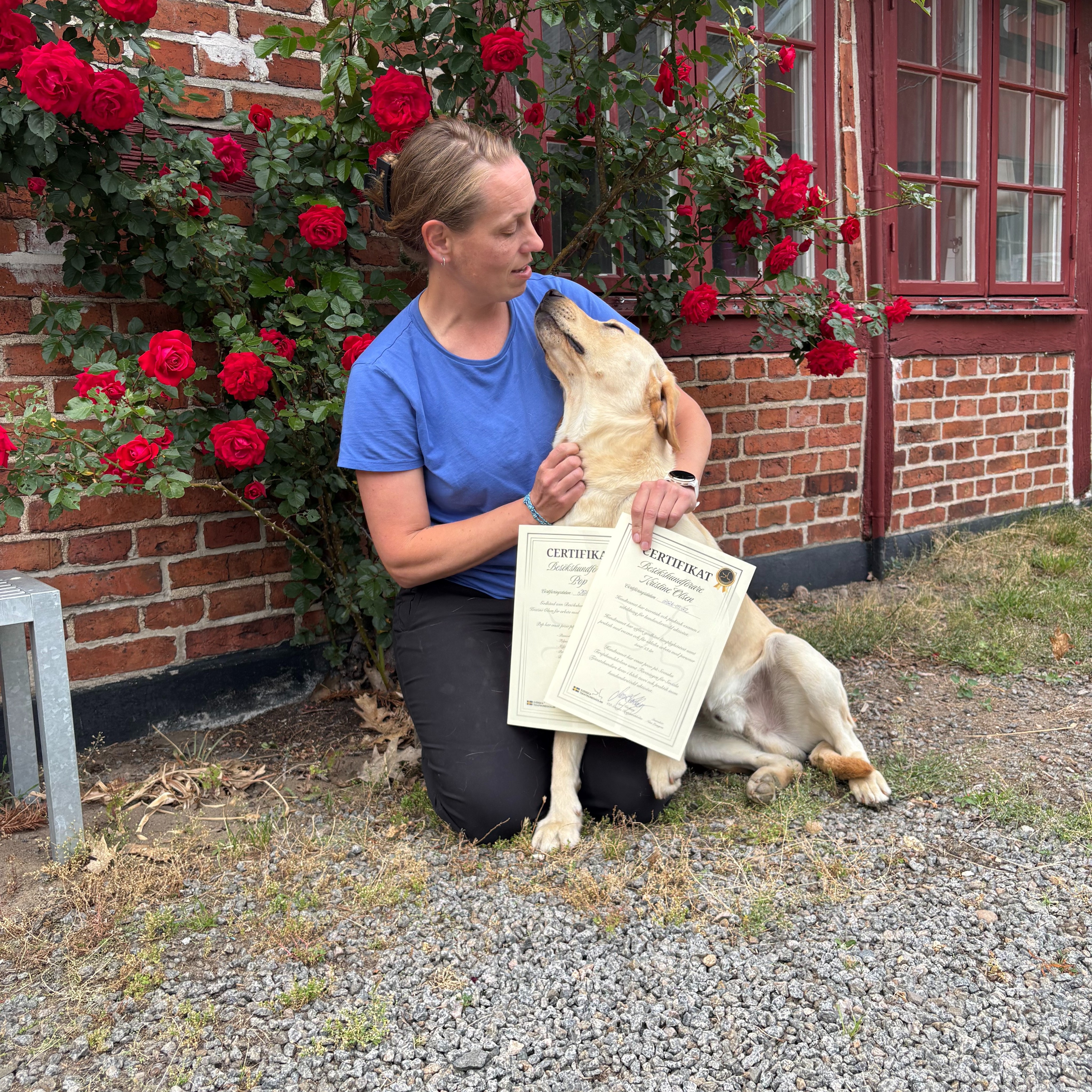 Du och jag Pop <3 min lite blyge kille som verkligen växte med uppgiften och klarade alla prov. Han är helt underbar! Pop går att boka för besök men främst till besök som är en till en. Det är där han kommer bäst till sin rätt. Ligga nära, vara i centrum, leka, promenad -du väljer! #teamolsen #teamolsenforthewin #levadrömmen #socialtjänstehund