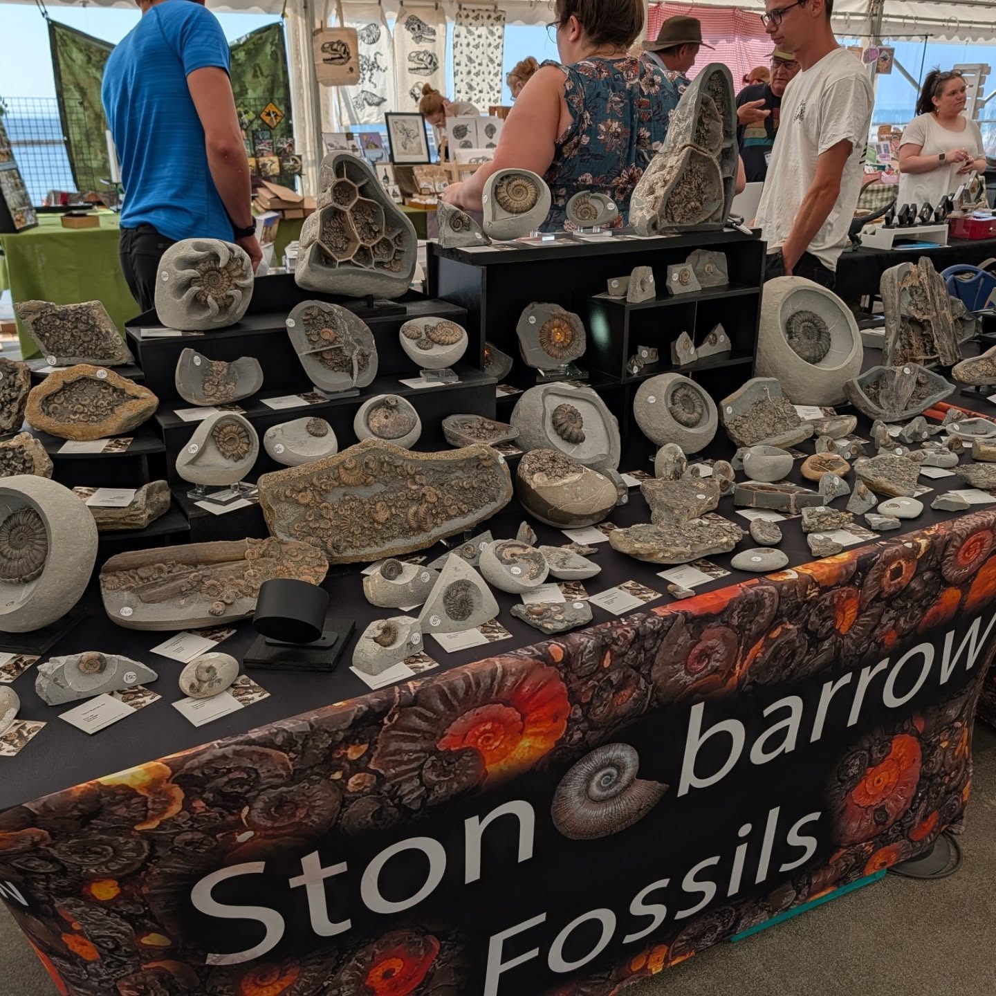 It's @fossilfestivallymeregis!
@naturalselectionfossils and I and many other fantastic sellers will be here today and Sunday with many fossils!
At langmoor gardens - Lyme Regis :)
#ammonite #fossil #fossilfestival #lymeregis
