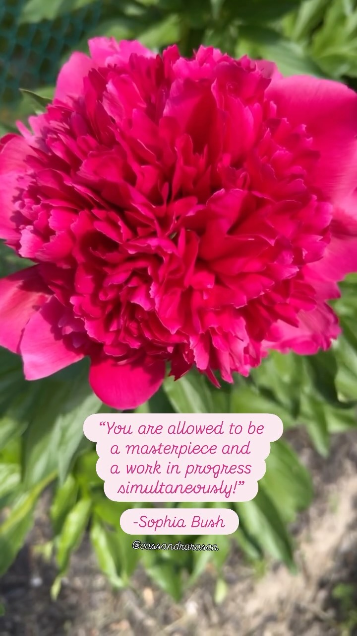 Both are true simultaneously! 💗
As entrepreneurs it’s important to remember that who we are and what we create in our businesses is a masterpiece.
Every action we take like posting on social media, creating offers, supporting our clients, and working on ourselves is like a stroke on a canvas or tending to a beautiful flower helping it grow. 🌸
As we are in the process of bringing about these beautiful creations and tending to our flowers there can be things that come up along the way.
Like mistakes when creating a masterpiece or weeds that affect a flower’s growth we too have challenges that come up along the way.
Like self-doubt, imposter syndrome, fears, roadblocks, struggles and obstacles that come up in life and business it’s all work in progress.
Both can be true.
Being in awe, gratitude, and appreciation of the masterpiece we’ve created, the flower in full bloom, the business that we are proud of, and celebration of the person we’ve become… AND….
Being a work in progress of working on ourselves behind the scenes, growing, healing, feeling stuck, doubting yourself, getting impatient, feeling like you are in the void, wanting the masterpiece to be finished already, and waiting for the flower to be in full bloom.
Two can be true at once! There is no need to put pressure on yourself to be perfect or be hard on yourself for facing another obstacle along the way.
Remember it’s all part of the process. And to ask for support along the way.
If you are wanting support in progressing something you are navigating in life and business now DM me “Support” to get 33% off 1-on-1 work with me until June 29th in honour of my birthday.
I’m here to help you feel more clarity and confidence on your path to impacting lives with your business. It’s a impactful masterpiece after all!
Drop a 🩷 if this landed for ya