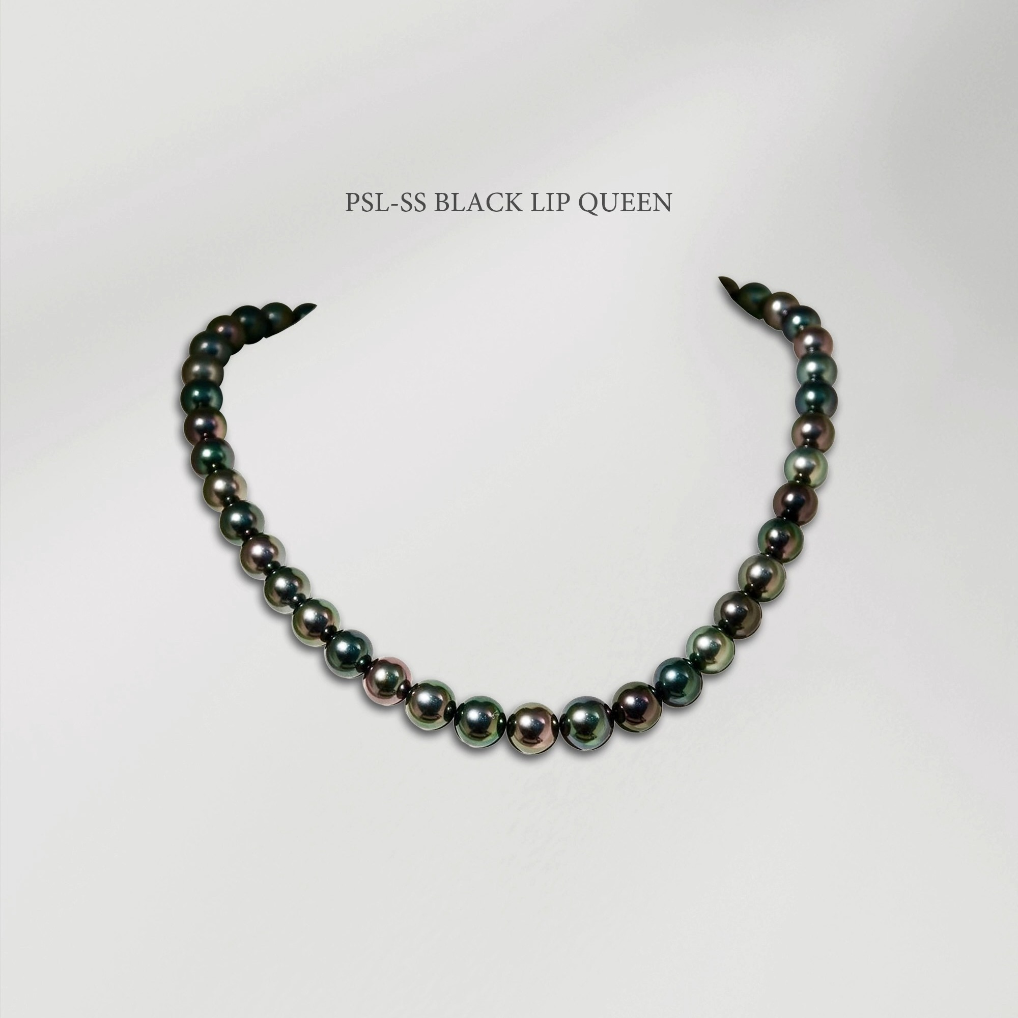 PSL SS Certified Black Lip Queen Tahitian Pearl Necklace
Not merely black, but a spectrum of colors hidden within each pearl.
This exceptional Tahitian pearl necklace displays a captivating harmony of peacock green, aubergine, silver, and blue-green overtones. Carefully matched for color, luster, and balance, every pearl contributes to a composition that feels both refined and alive.
Certified by the Pearl Science Laboratory (PSL) with SS grading and recognized as Black Lip Queen, this strand represents the highest level of beauty found within multicolor Tahitian pearls.
A collector's piece where rarity, color, and craftsmanship meet.
✦ PSL SS Certified
✦ Black Lip Queen Designation
✦ Tahitian Pearls
✦ 8.0–10.5 mm
✦ Japan
#ThePearlVogue #TahitianPearls #BlackLipQueen #PSLCertified #PearlCollector #LuxuryJewelry #PearlNecklace #FineJewelry #PearlLover #JewelryCollector
