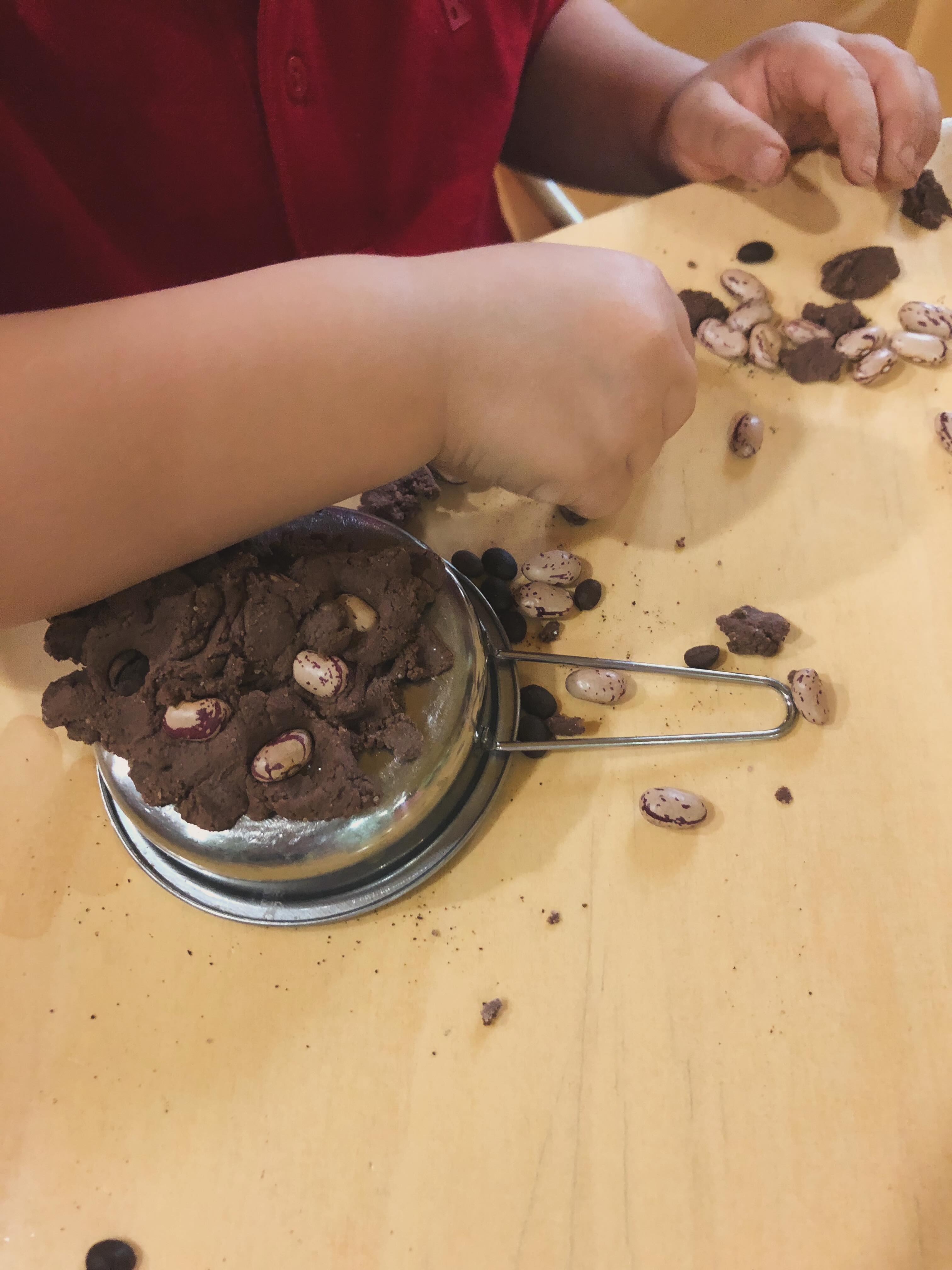 Pasta di Sale 🥣 al profumo di cacao, con chicchi di caffè e fagioli 🫘
Impastare, schiacciare e modellare la pasta di sale aiuta a rinforzare la mano, migliorare la coordinazione e sviluppare la motricità fine.
#nidodinfanzia #asilonidomilano #manipolazione #sensorialità #motricitàfine