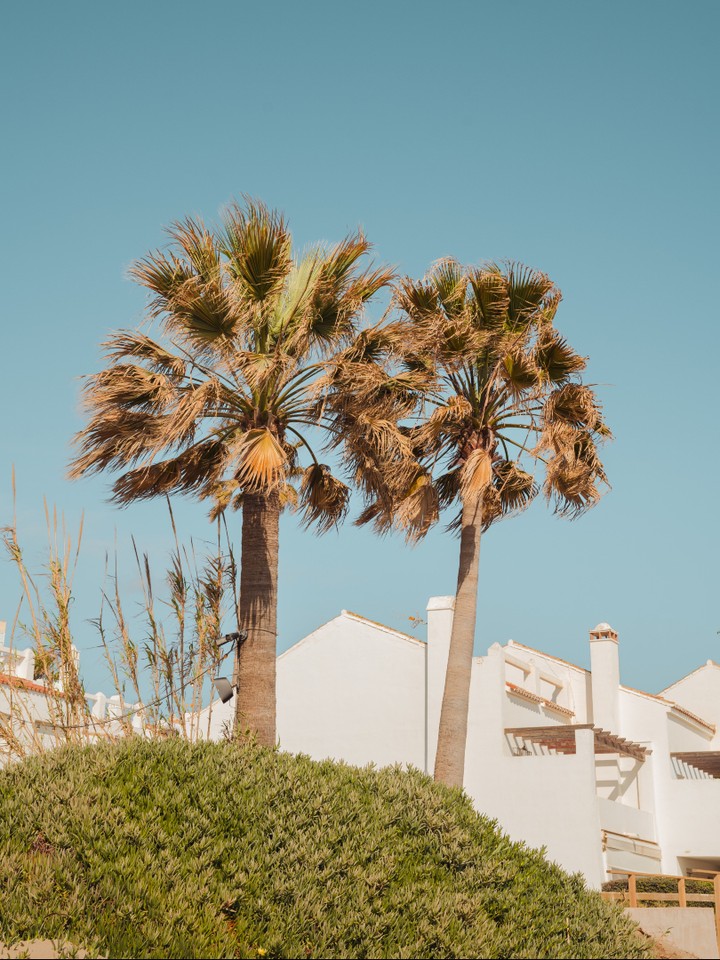 Where the sea breeze meets slow, sunlit moments πΎπ
Tucked between wild coastal beauty and endless blue views, Oyana feels like a little escape made for long lunches, easy afternoons and staying close to the sea. Natural light, soft tones and that calm Mediterranean energy make every visit feel effortlessly special.
Your seaside oasis awaits.
#MorningGoals #oyanabeach #oyanabeachrestaurant #marbellarestaurant #marbelladining #marbellabest #marbellaforlife #marbellaeast #oyanafood #experienceoyana #foodexperience #timetoslowdown
