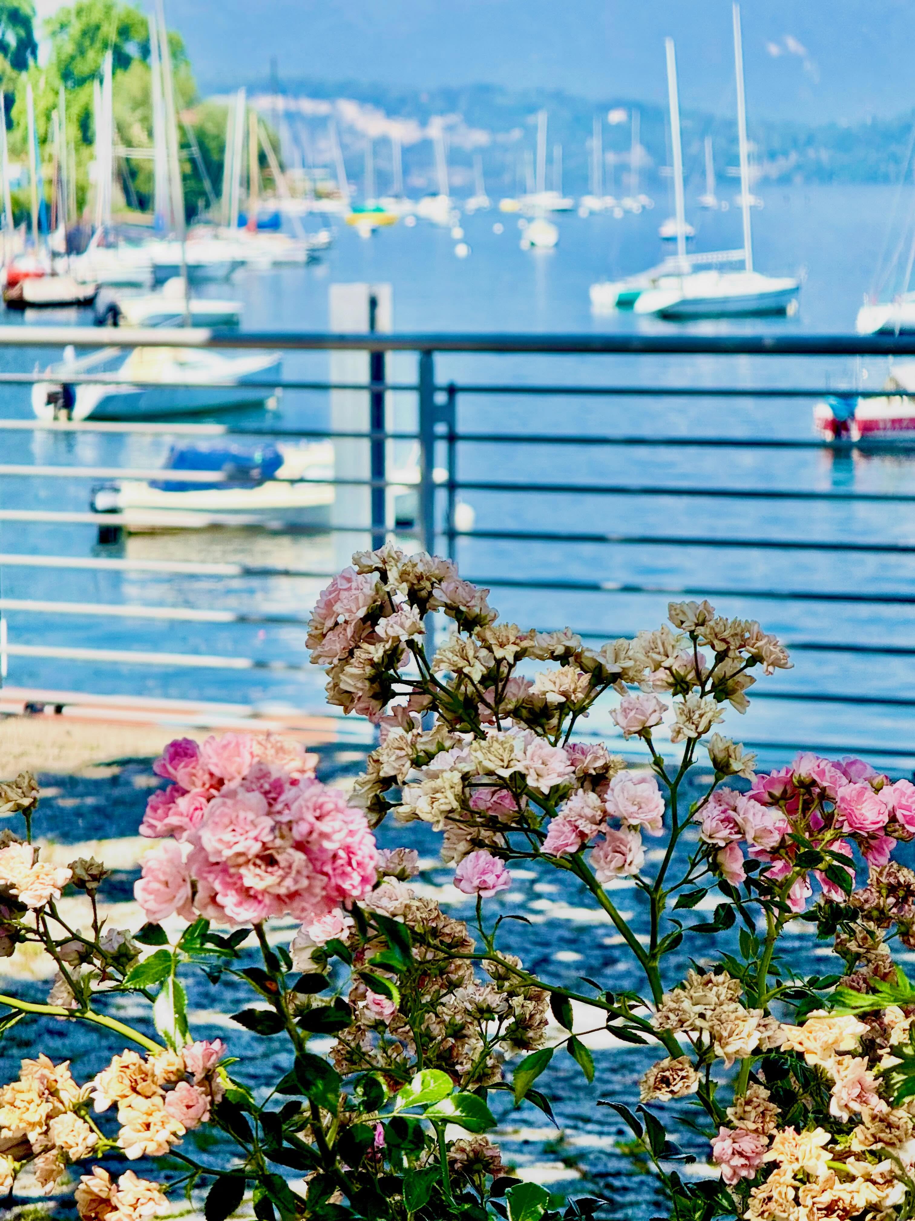 Lake Maggiore, Italy #lakemaggiore #lagomaggiore #italianlakes #travelbloggers #retireandtravel