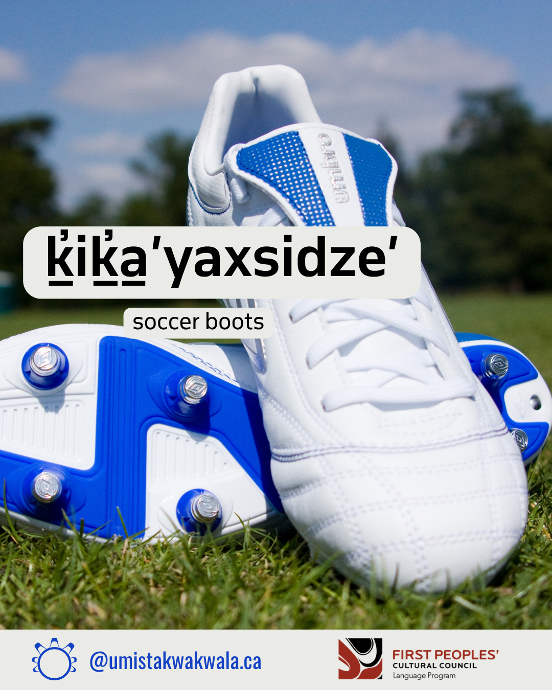 💙⚽️ ḵ̓iḵ̓a̱'yaxsidze' ⚽️💙
- soccer boots
Over the next couple of weeks we will be sharing some Kwak̓wala soccer words, in honour of the upcoming tournament here in Ya̱lis. We hope you enjoy.
For pronunciation, please check out firstvoices.com/kwakwala
G̱ilakas’la to @firstpeoplesculturalcouncil for supporting our #kwdaily project
#kwakwala #kwakwakawakw #indigenouslanguagerevitalization #umistaculturalcentre #soccer #umistakwakwala