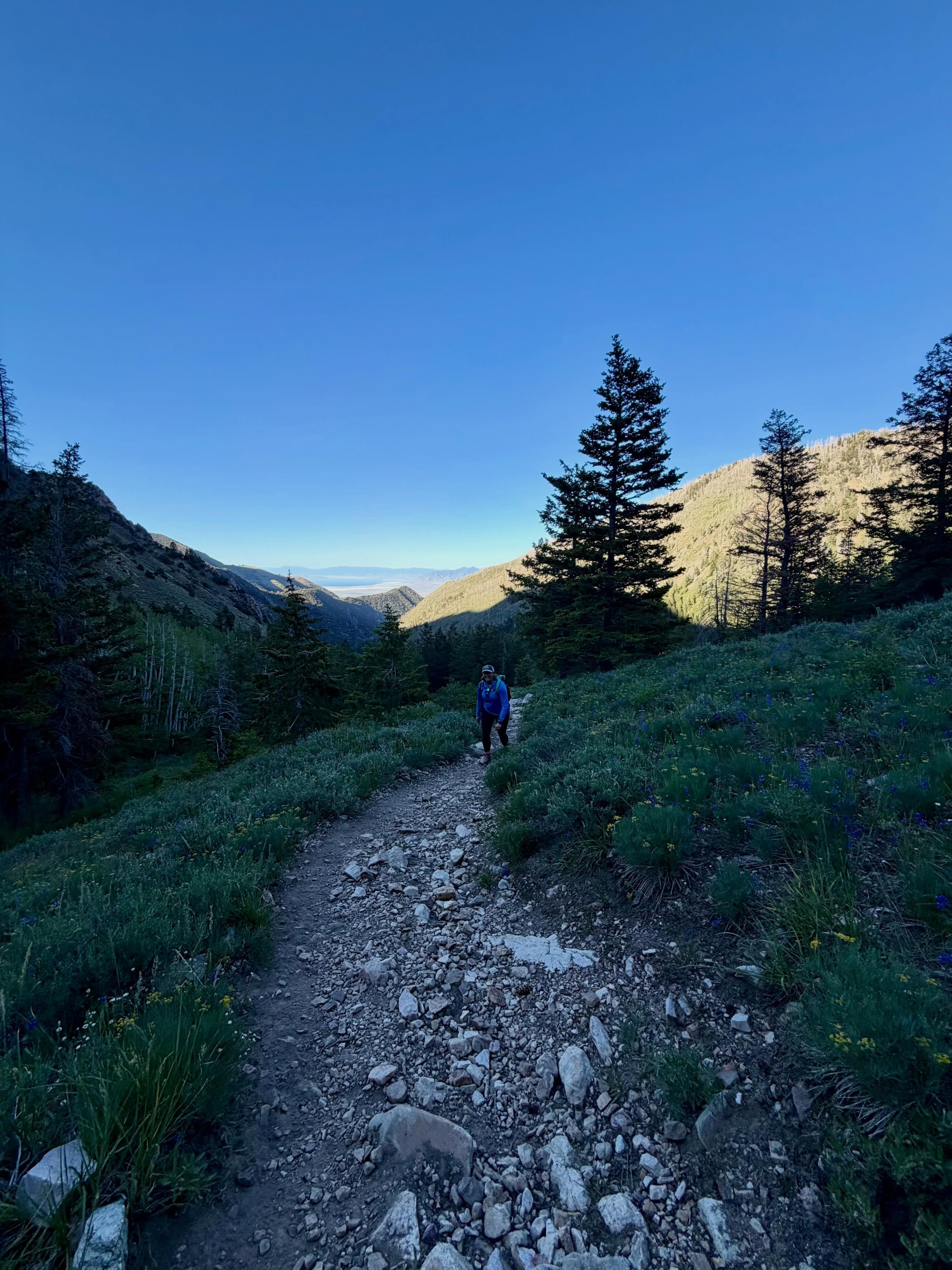 Accomplishing goals often doesn’t happen overnight.
Sometimes as we work toward something meaningful, all we see ahead is a rocky, steep path — and we aren’t sure we’ll make it to the top.
But with consistent effort, little by little, we get closer. The summit is there, even when you can’t see it yet.
If you’re in a tough season right now, keep going. Progress is rarely a straight path, and setbacks are part of the journey — not a sign to quit.
You’ve got this. 💪
If you’re ready to stop guessing and start making real progress, I work 1:1 with women who are done waiting and ready to climb. DM me “READY” and let’s talk about what that could look like for you.
#womenover40 #womenover50 #purposedriven #confidentwomen #nursecoach