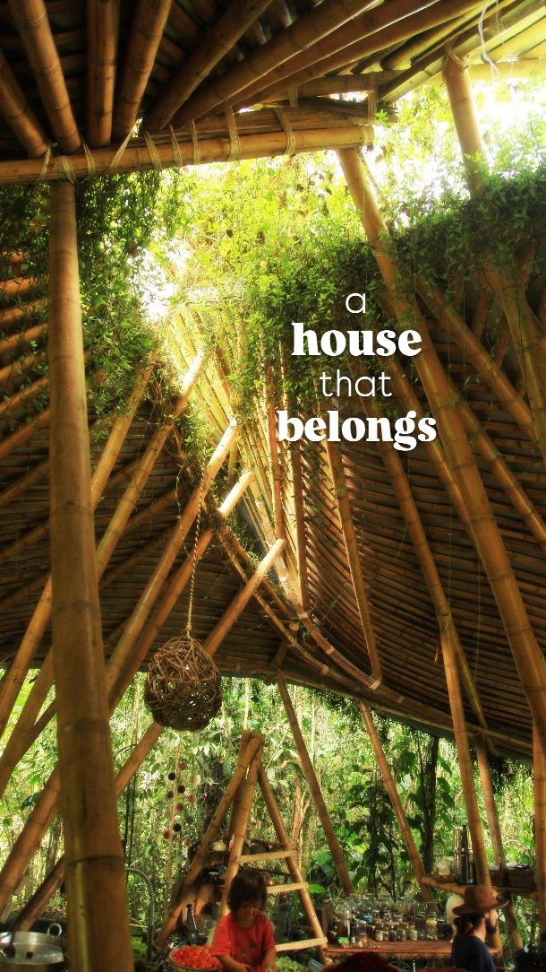 Most houses try to keep nature out. We've spent years experimenting with inviting it in.
.
And one of those experiments has been our green roof...
.
Over time, it has become habitat for birds, bees and butterflies, a source of flowers and herbs, a cooling layer on hot days, and occasionally an ambitious young forest.
.
Of course, it also comes with responsibilities...
* It needs watering during dry periods.
* It needs regular weeding.
* It requires a stronger structure beneath it.
* And every now and then, it reminds us that nature has plans of her own.
.
The funny thing is that some of the "cons" are also what we love most about it.
.
A green roof isn't just a roofing material - it's a tiny ecosystem. It asks something of us: care, attention and relationship. And in return, it brings a little more life into everyday living.
.
At Ekawa, we're continually exploring what happens when our homes become part of the landscape rather than separate from it.
.
This roof is one small answer.
.
Would you build one?