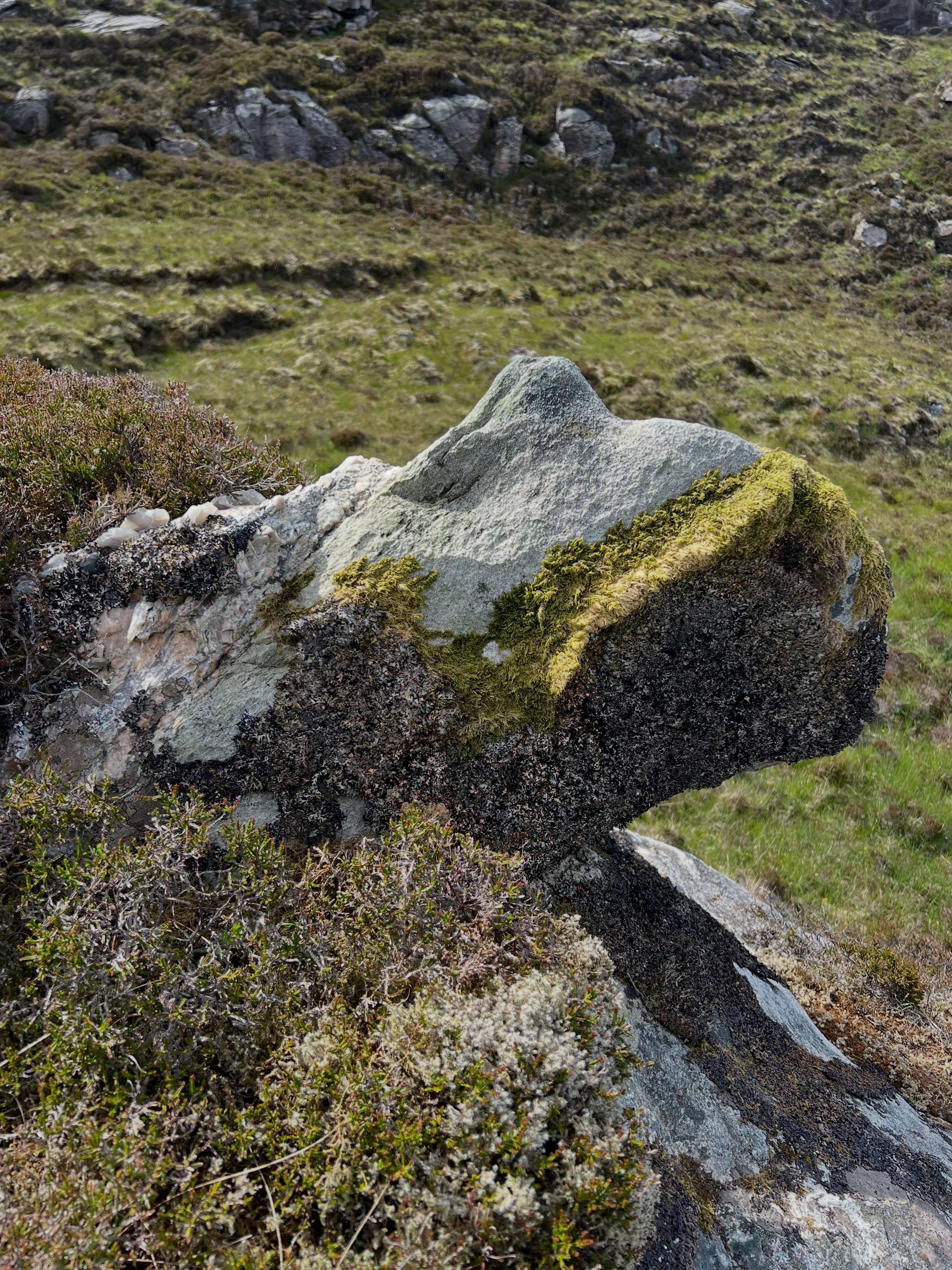 preasach
-aiche, a. Furrowed, wrinkled, corrugated. 2 Striped. 3 Plaited. 4 Abounding in bushes. 5 Abounding in presses or cases. 5 Like a wrinkle. 6 Like a bush. Aghaidh phreasach, a wrinkled face.
#gaidhlig #gaelic #placebased #waysofseeing