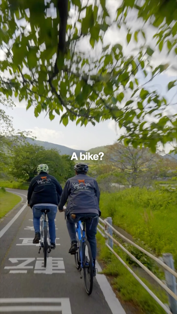 Everyone told me Kyoto was amazing…
They forgot to mention this 😅👇
#kyoto #kyotojapan #arashiyama #japantravel #kyotobiketour