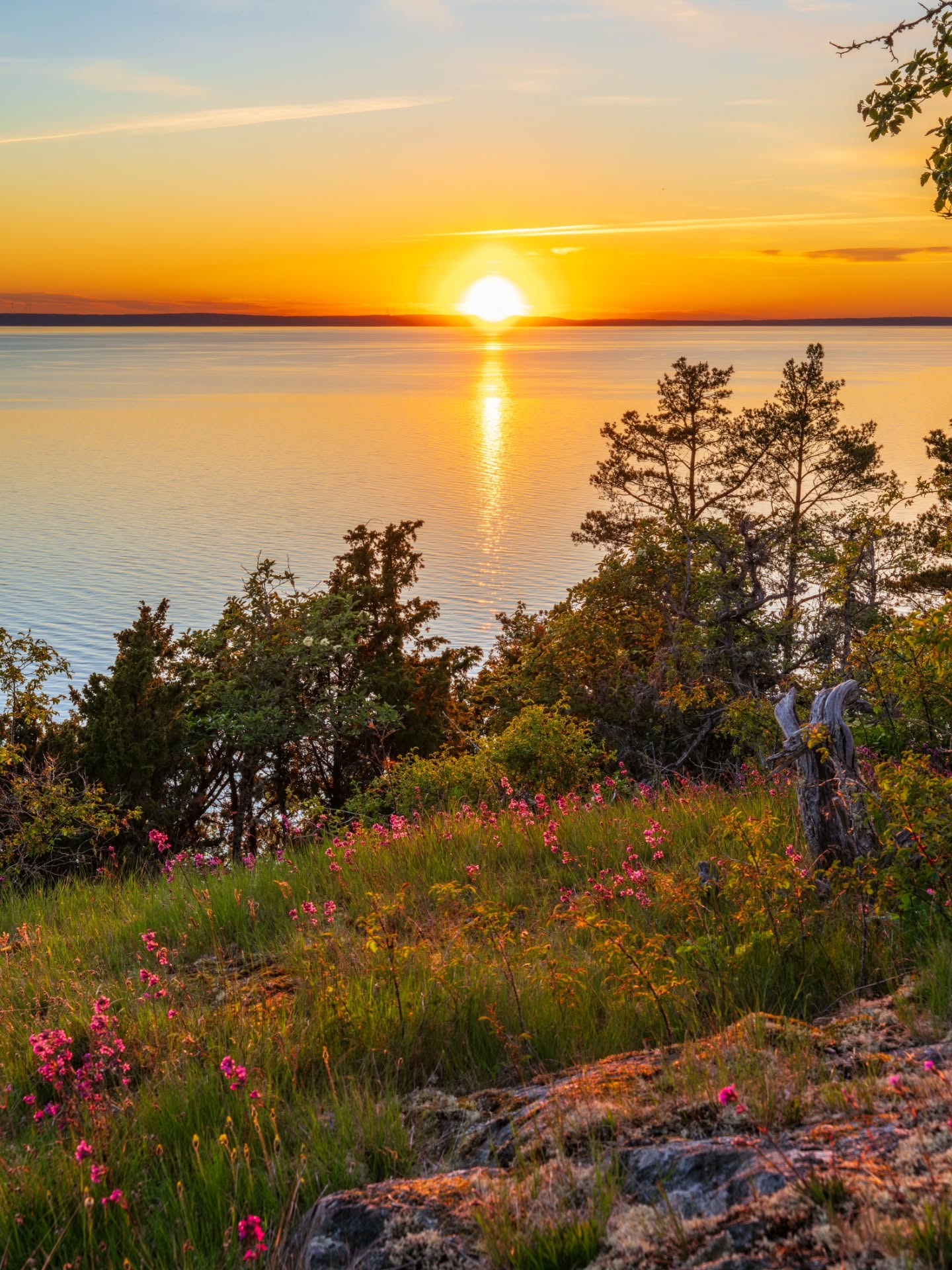 Sista stoppet på vår roadtrip längs Vättern blev Holkaberg och Narbäck naturreservat i solnedgång...