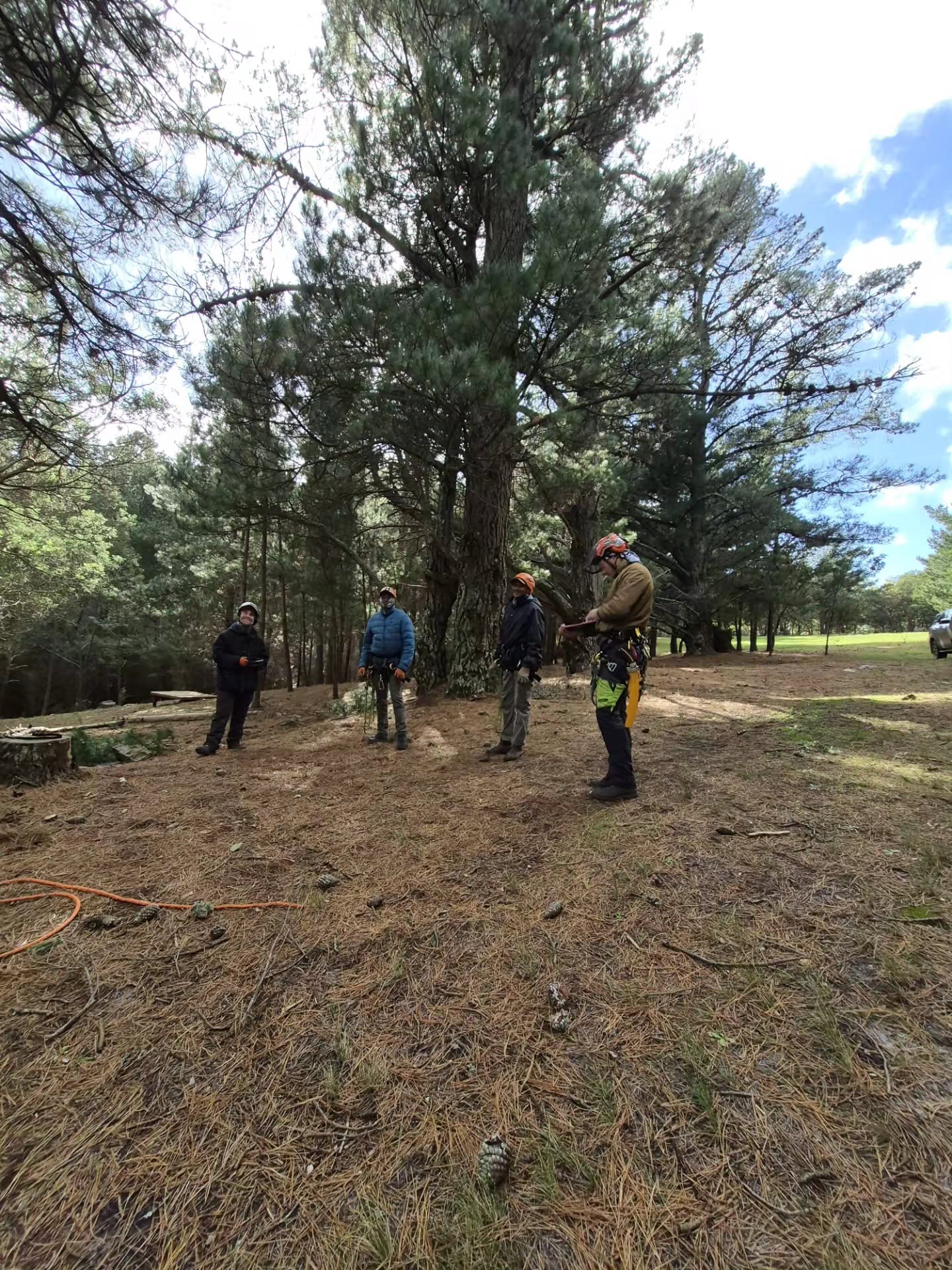 Training Day 🤙
#arborist #trainingday