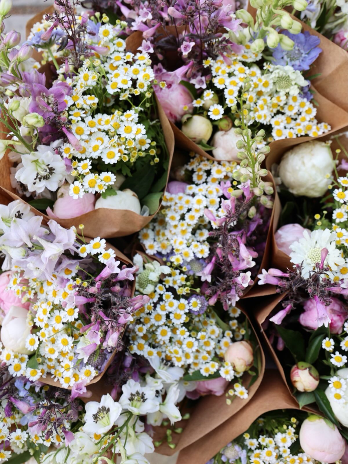 Sweet summer bouquets for our weekly flower subscription. The heat is on, which puts an end to our cool season flowers. Bring on the heat lovers!