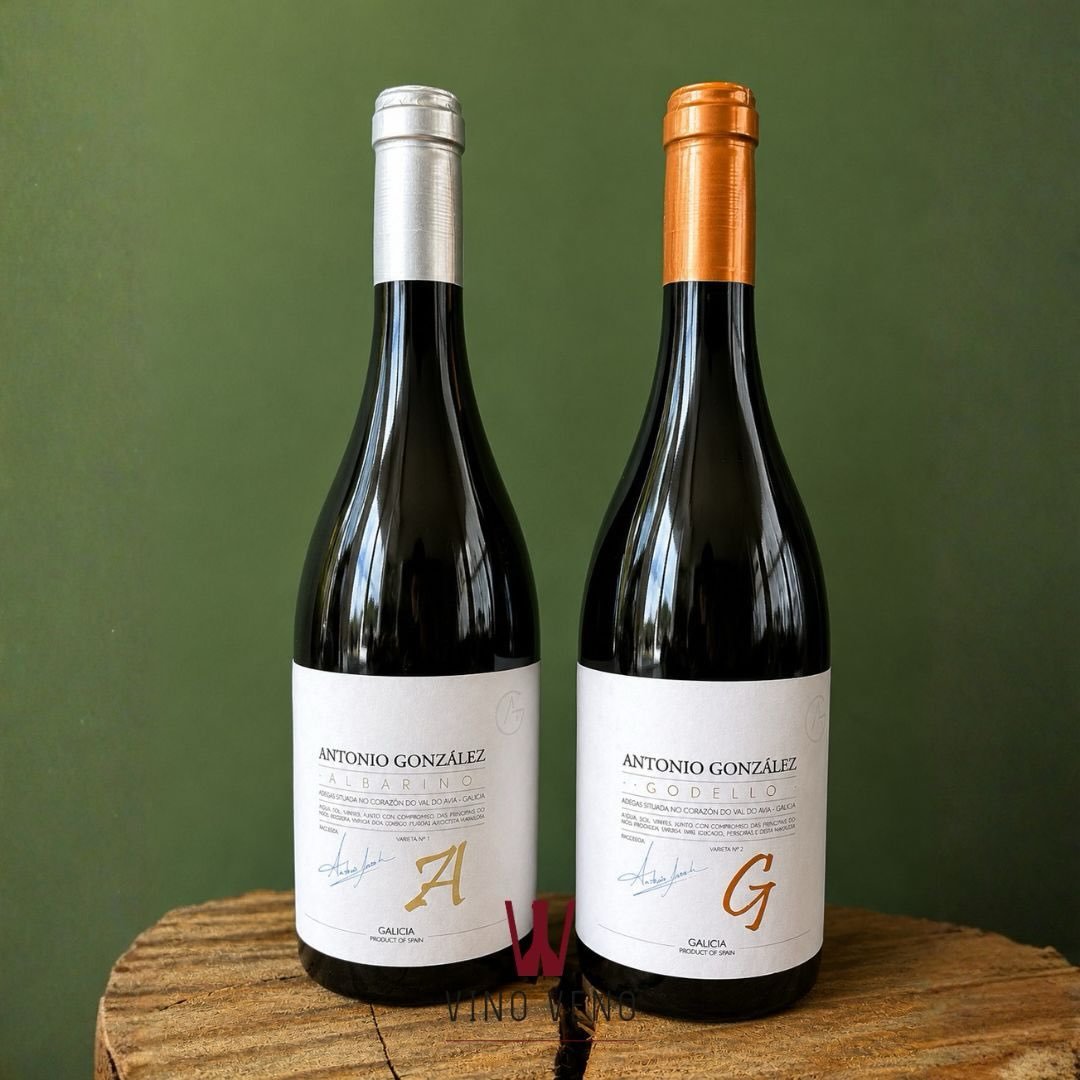 Nieuw binnen uit Ribeiro, Spanje ✨🍷
Maak kennis met twee ras echte Spanjaarden van Antonio González. Ik ben zelf dol op de druiven Albariño en Godello. In zulke goed gemaakte stijlen zijn ze verfijnd, elegant en hebben net dat beetje extra wat je soms zoekt. Ook nog eens breed inzetbaar en perfect voor deze tijd van het jaar. Welke wordt jouw nieuwe favoriet?
🤍 Albariño
Fris, aromatisch en elegant. Met tonen van citrus, wit fruit en een mooie mineraliteit. Perfect bij vis, schaal- en schelpdieren of als aperitief.
🧡 Godello
Vol en verfijnd met aroma’s van rijp steenfruit, bloemen en een zachte romigheid. Een prachtige begeleider van gevogelte, romige gerechten en gegrilde vis.
#VinoVeno #AntonioGonzalez #Albarino #Godello #spaansewijn